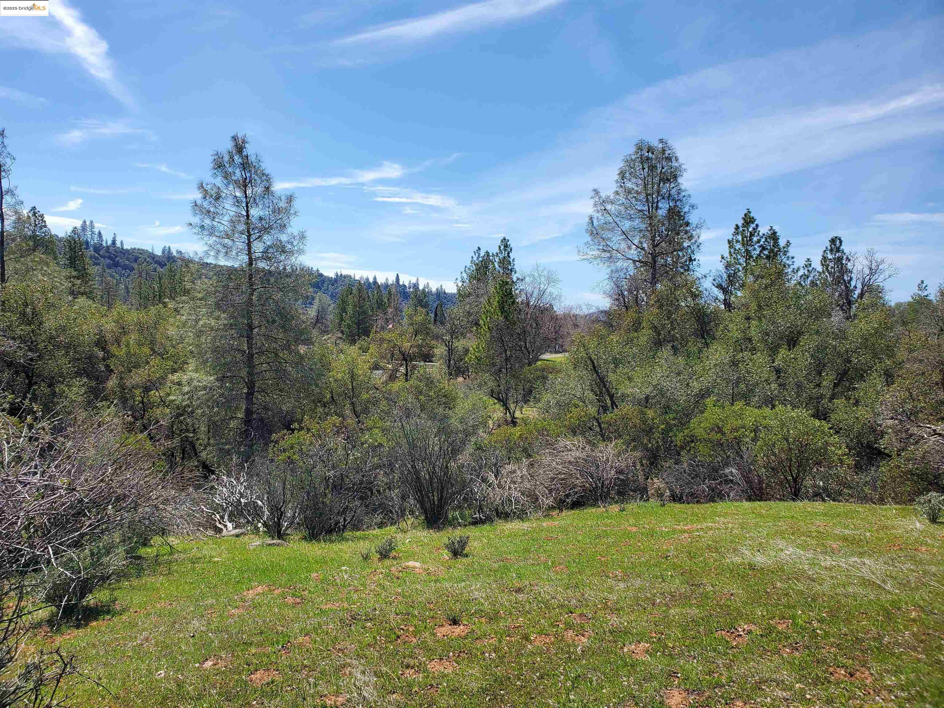 Detail Gallery Image 5 of 29 For 20350 Soulsbyville Road, –,  CA 95372 - – Beds | – Baths