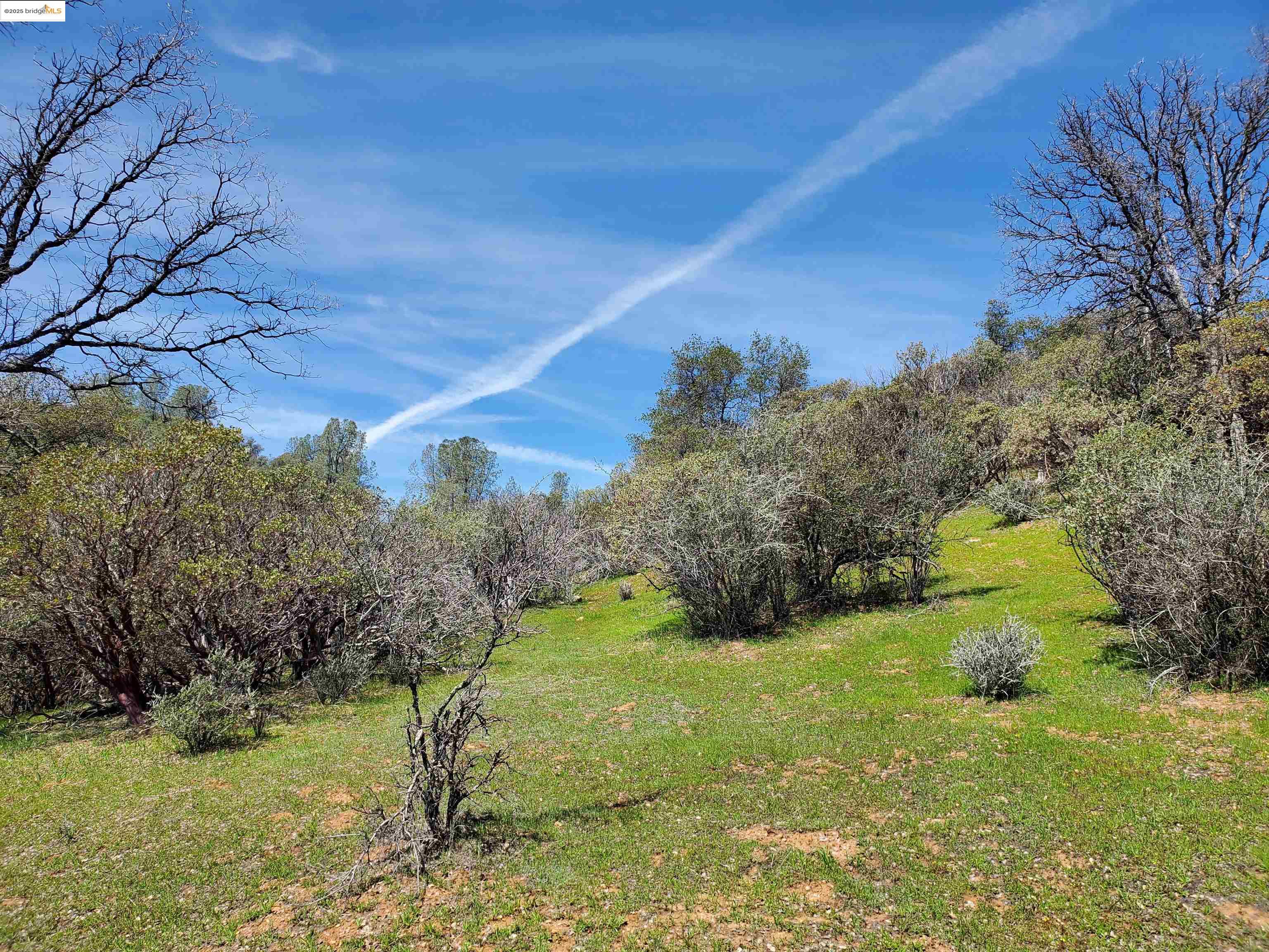 Detail Gallery Image 7 of 29 For 20350 Soulsbyville Road, –,  CA 95372 - – Beds | – Baths