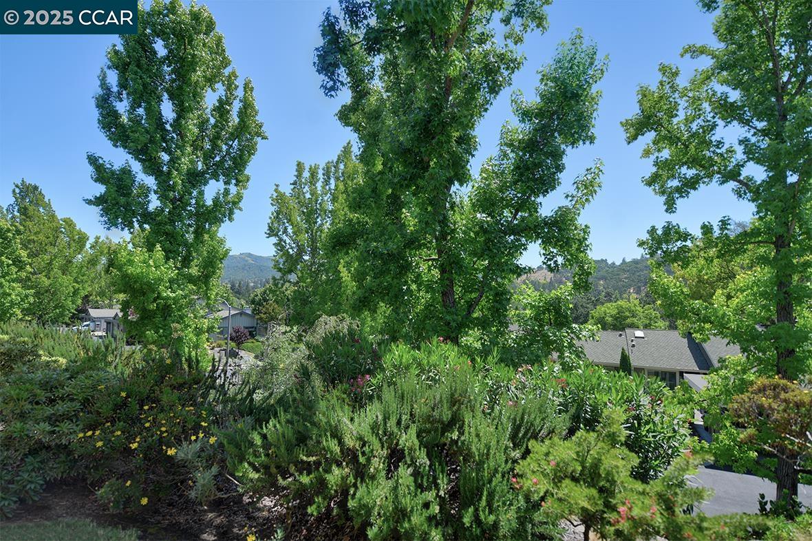 Detail Gallery Image 6 of 50 For 2175 Cactus Ct #4,  Walnut Creek,  CA 94595 - 2 Beds | 2 Baths