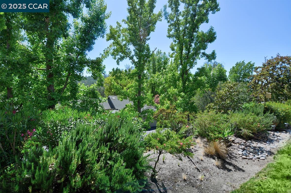 Detail Gallery Image 7 of 50 For 2175 Cactus Ct #4,  Walnut Creek,  CA 94595 - 2 Beds | 2 Baths