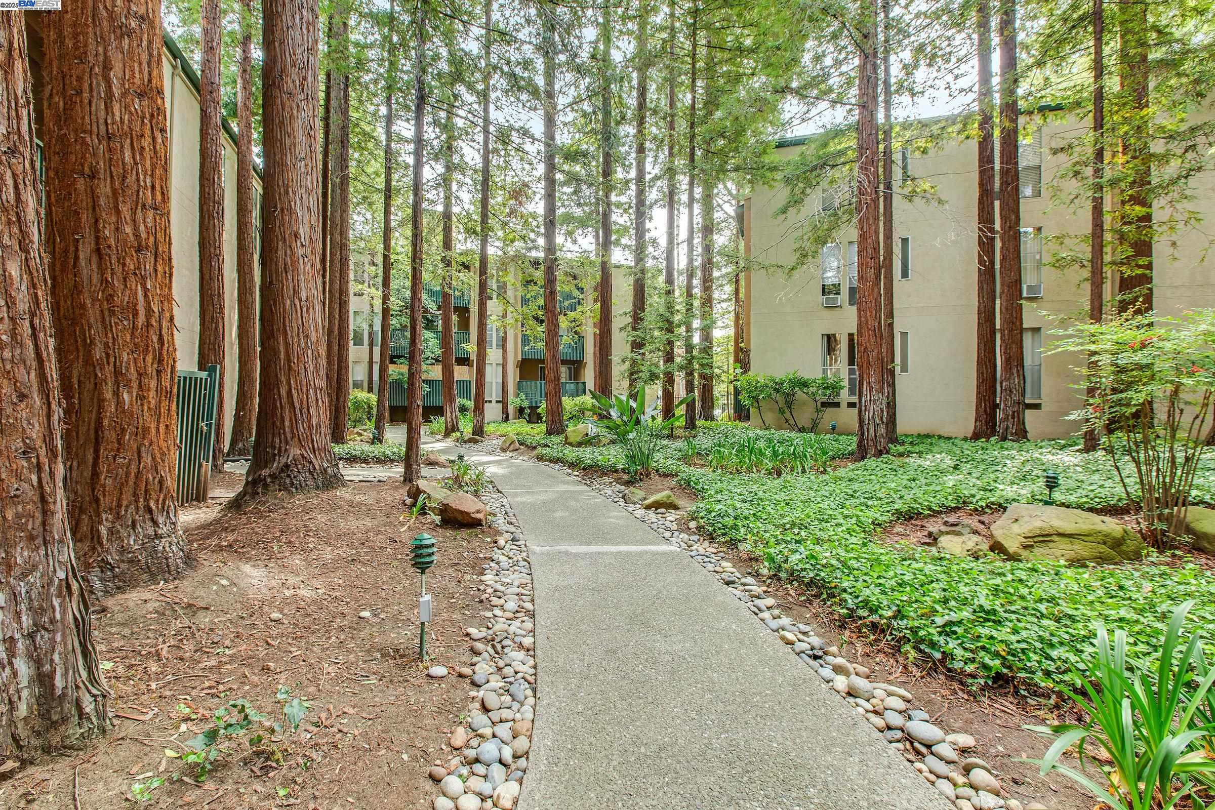 Photo #28: 41091779 Listing: Photo #28