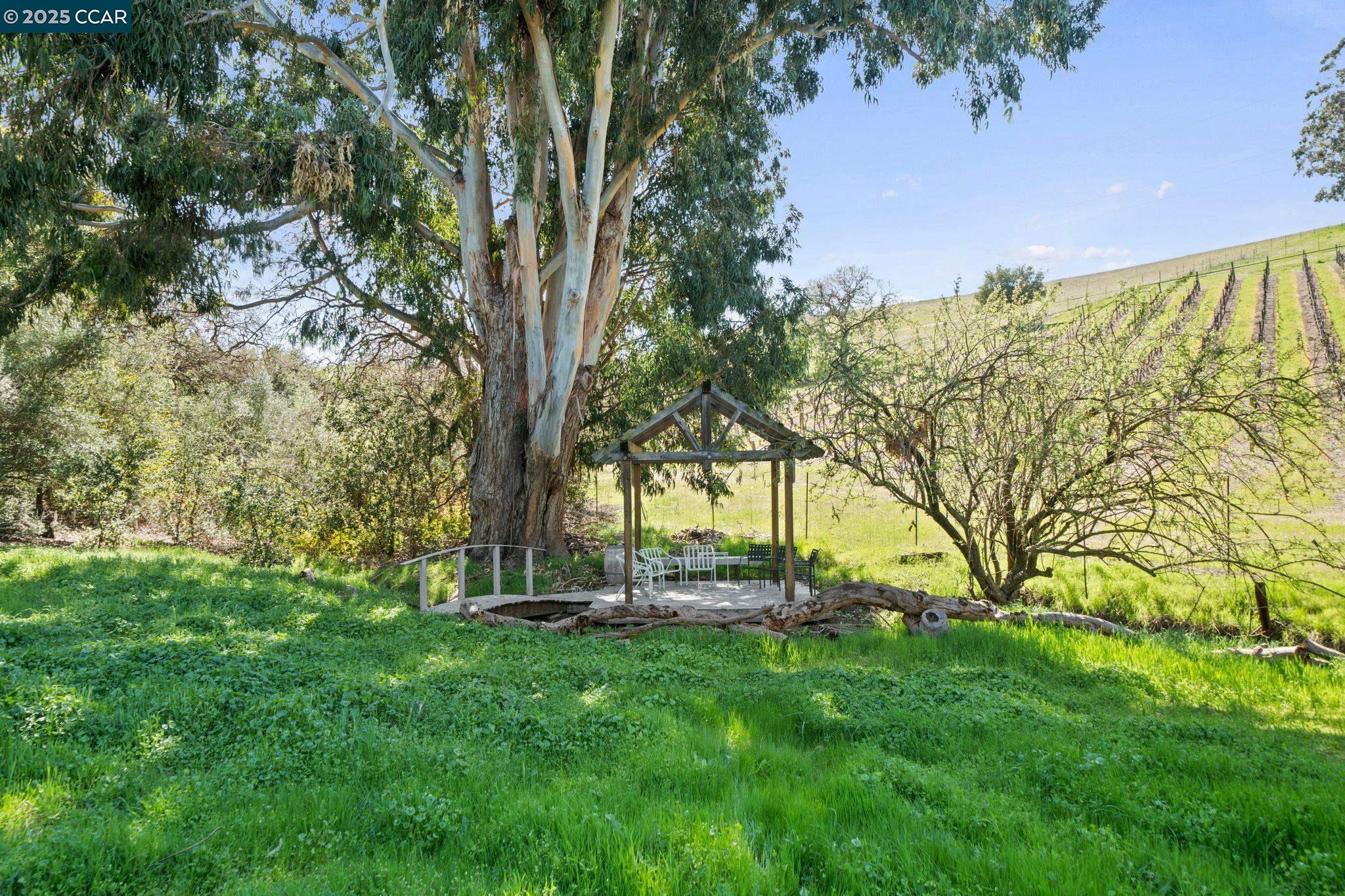 633 Kalthoff Cmn, Livermore, California 94550, 5 Bedrooms Bedrooms, 19 Rooms Rooms,4 BathroomsBathrooms,Residential,For Sale,633 Kalthoff Cmn,41091813