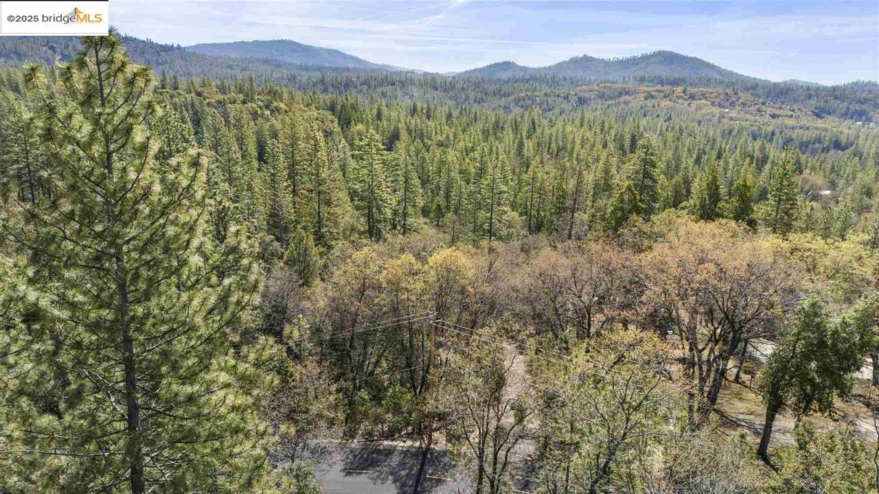 Detail Gallery Image 13 of 19 For 23282 Comstock Ranch, Sonora,  CA 95370 - – Beds | – Baths