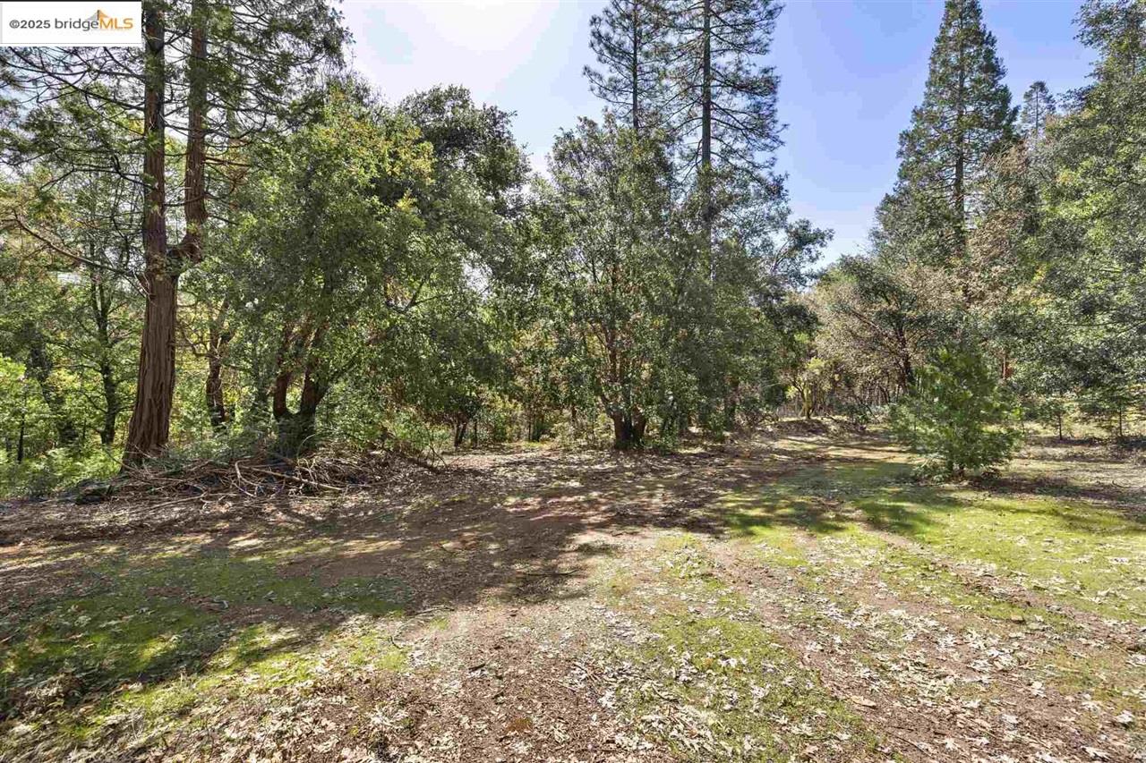 Detail Gallery Image 18 of 19 For 23282 Comstock Ranch, Sonora,  CA 95370 - – Beds | – Baths