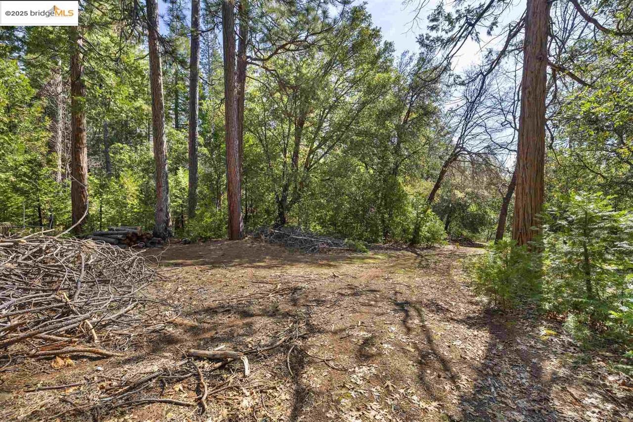 Detail Gallery Image 3 of 19 For 23282 Comstock Ranch, Sonora,  CA 95370 - – Beds | – Baths
