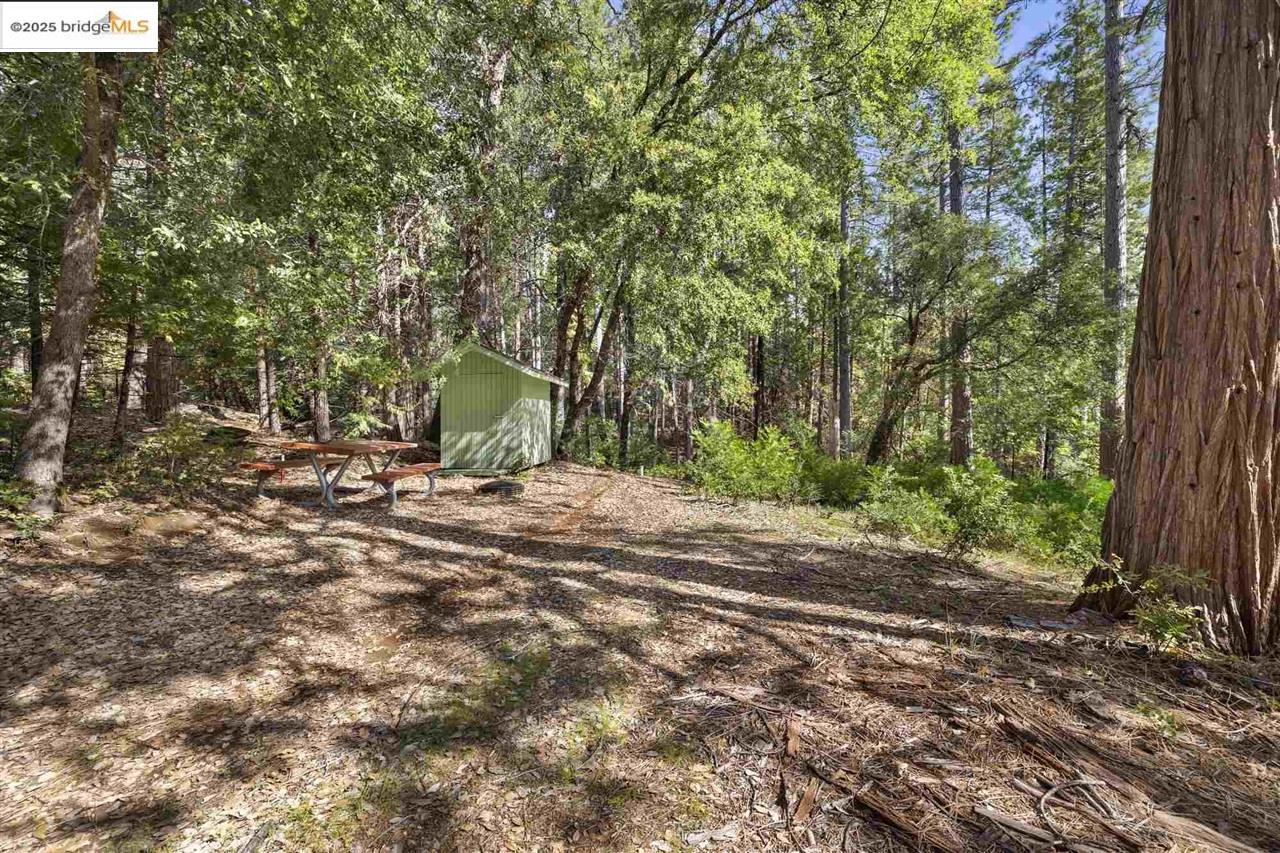 Detail Gallery Image 9 of 19 For 23282 Comstock Ranch, Sonora,  CA 95370 - – Beds | – Baths