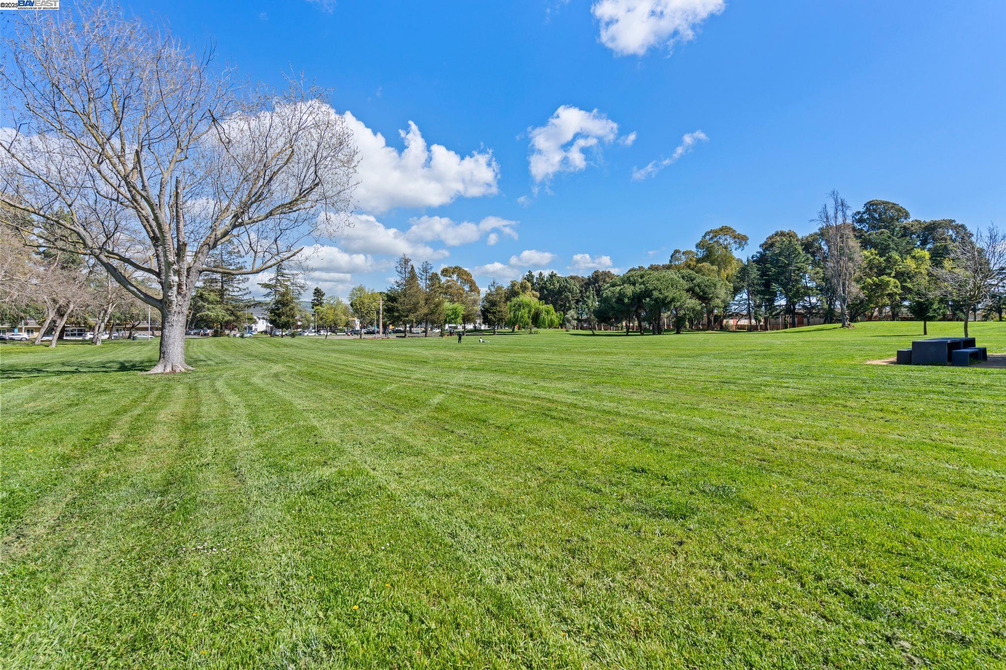 Photo #23: 41091947 Listing: Photo #23