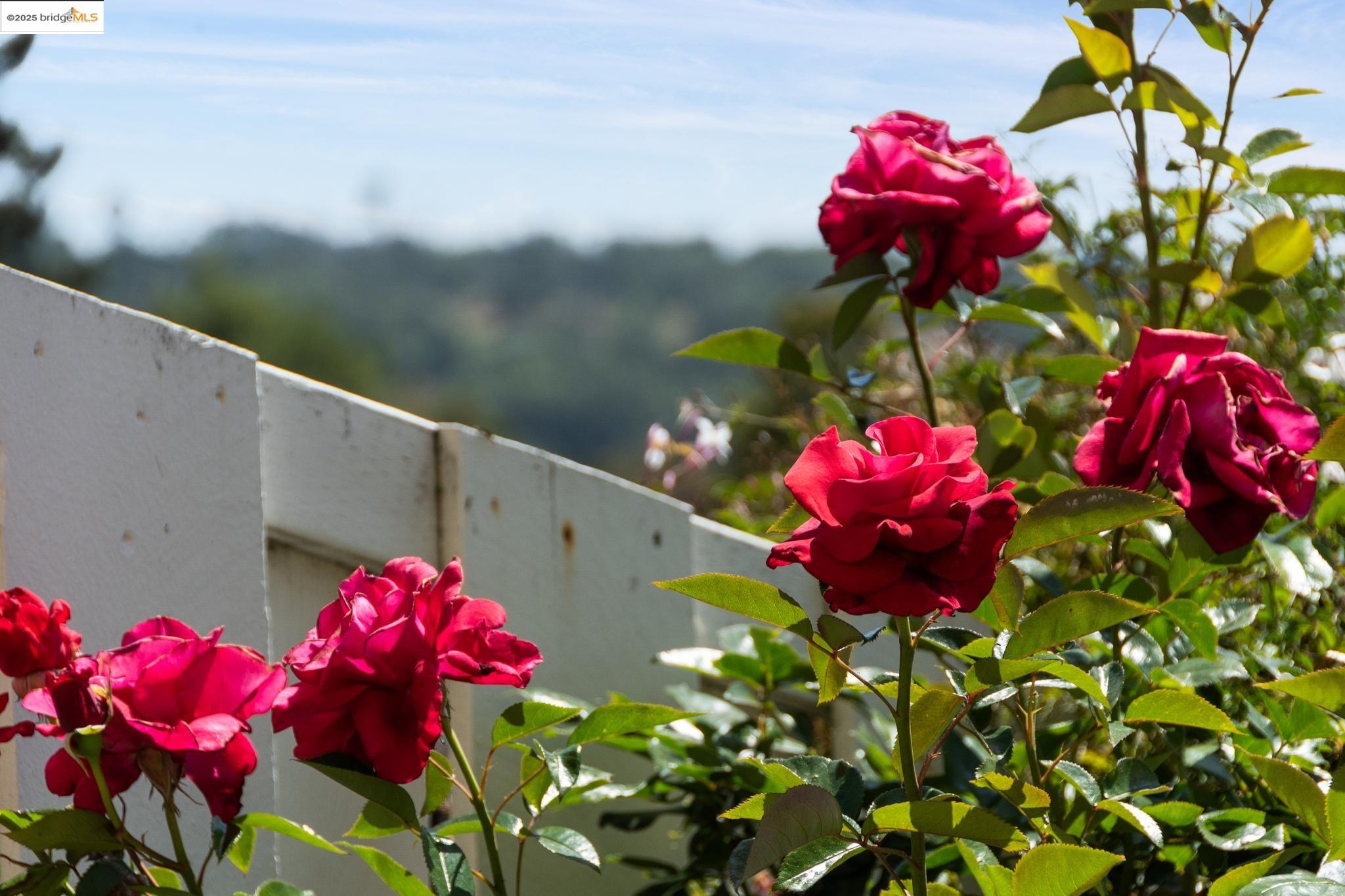 Photo #54: 41091989 Listing: Photo #54