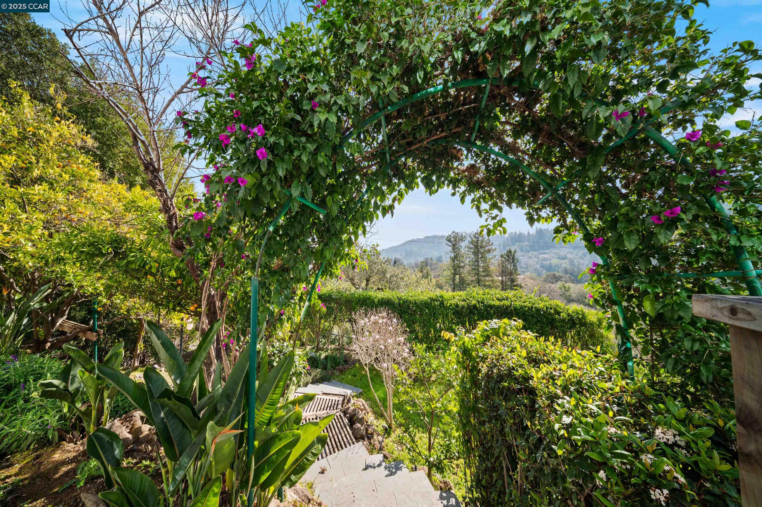 Detail Gallery Image 20 of 22 For Buckeye Way, Kentfield,  CA 94904 - 2 Beds | 2 Baths