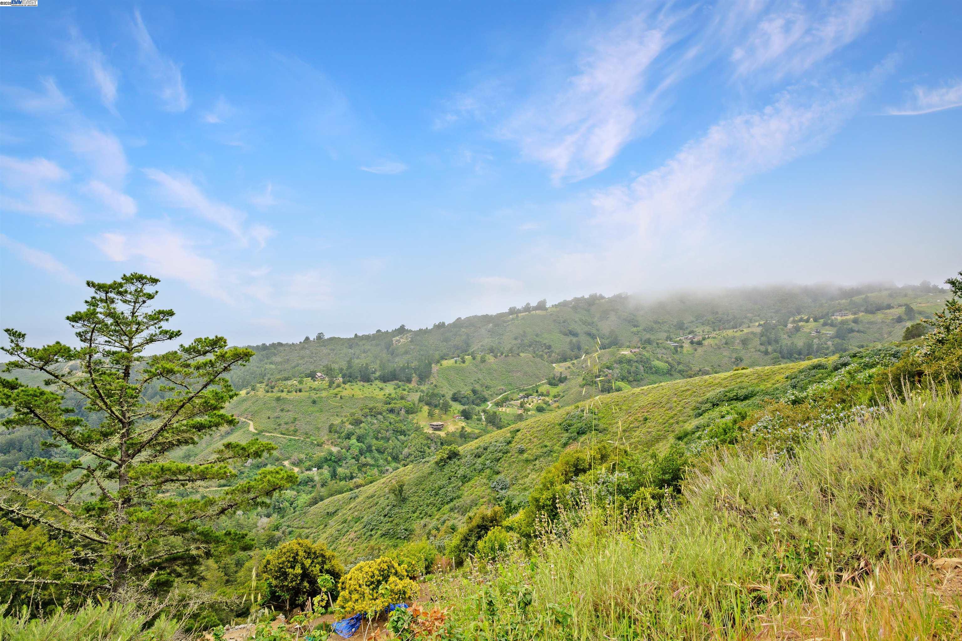 Detail Gallery Image 2 of 15 For 46190 Pfeiffer Ridge Rd, Big Sur,  CA 93920 - – Beds | – Baths