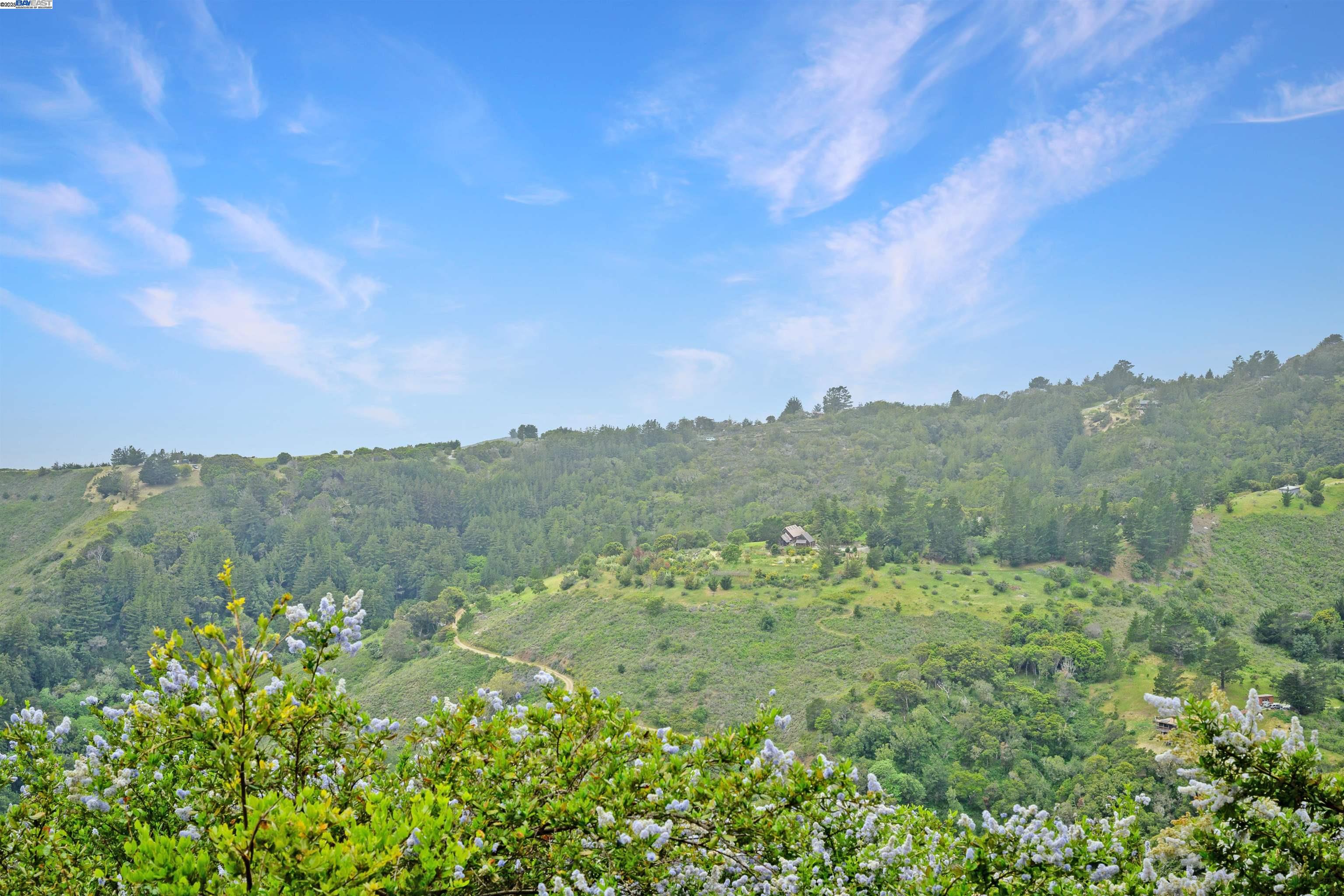 Detail Gallery Image 12 of 15 For 46190 Pfeiffer Ridge Rd, Big Sur,  CA 93920 - – Beds | – Baths
