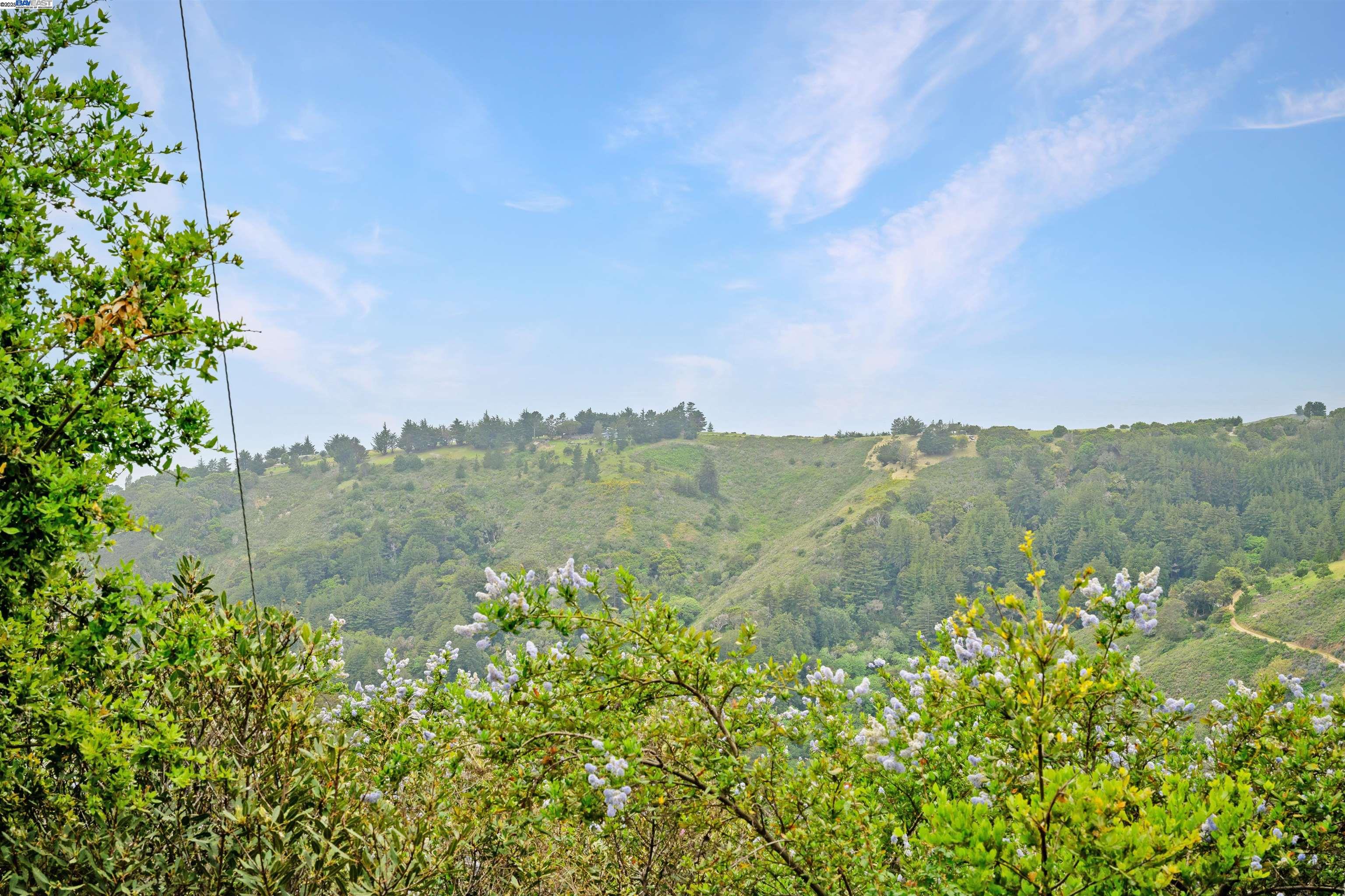 Detail Gallery Image 13 of 15 For 46190 Pfeiffer Ridge Rd, Big Sur,  CA 93920 - – Beds | – Baths