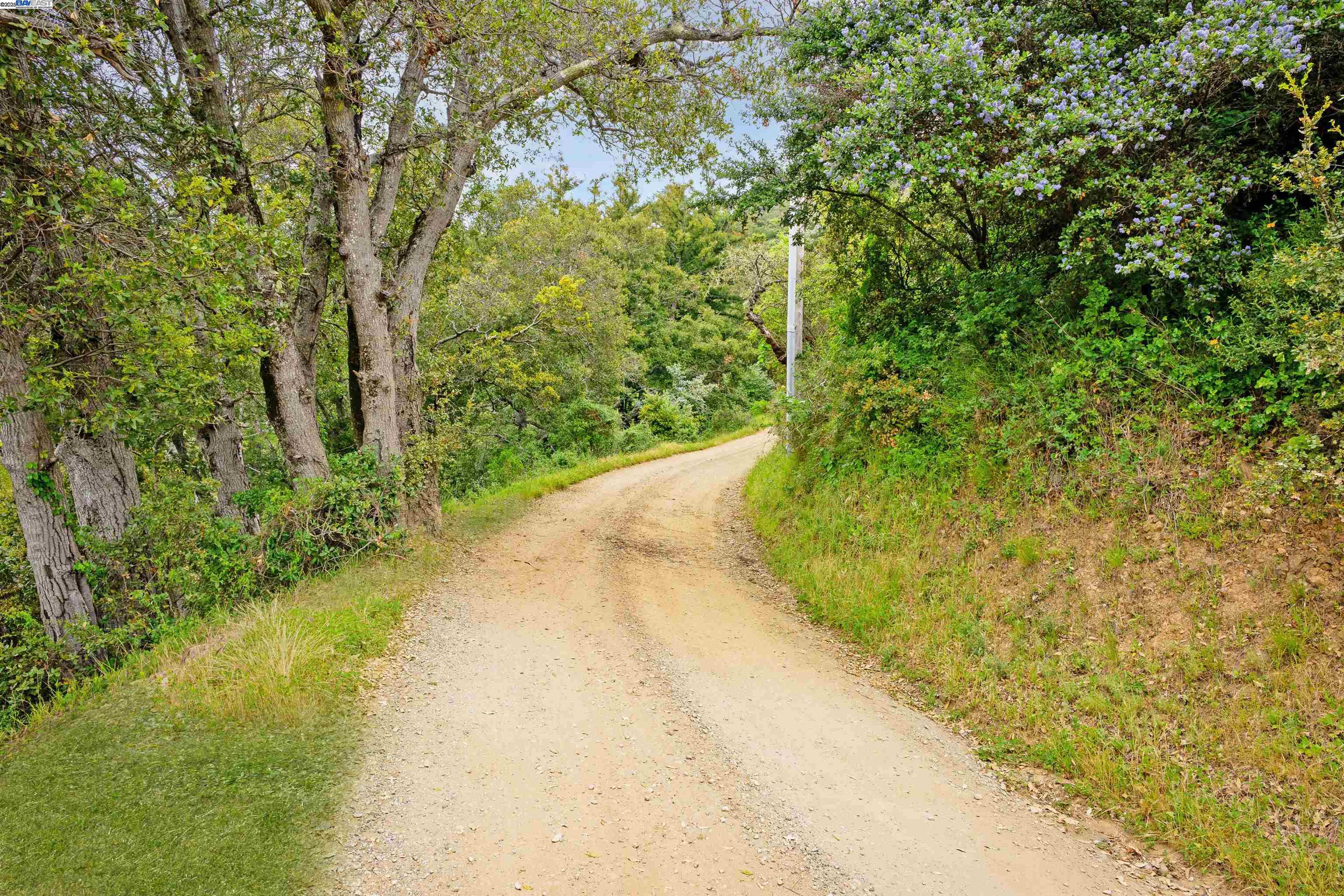 Detail Gallery Image 14 of 15 For 46190 Pfeiffer Ridge Rd, Big Sur,  CA 93920 - – Beds | – Baths