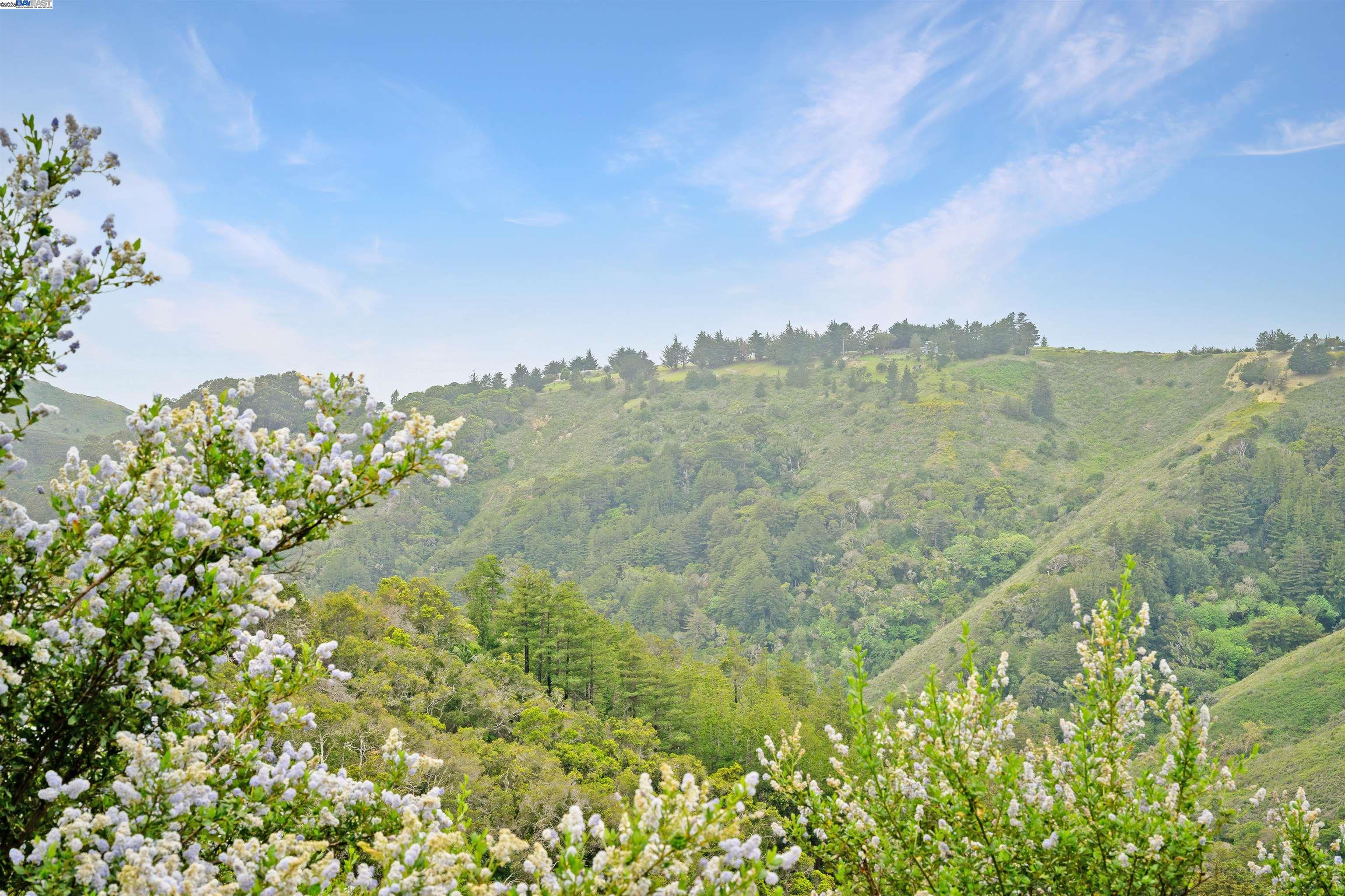 Detail Gallery Image 5 of 15 For 46190 Pfeiffer Ridge Rd, Big Sur,  CA 93920 - – Beds | – Baths