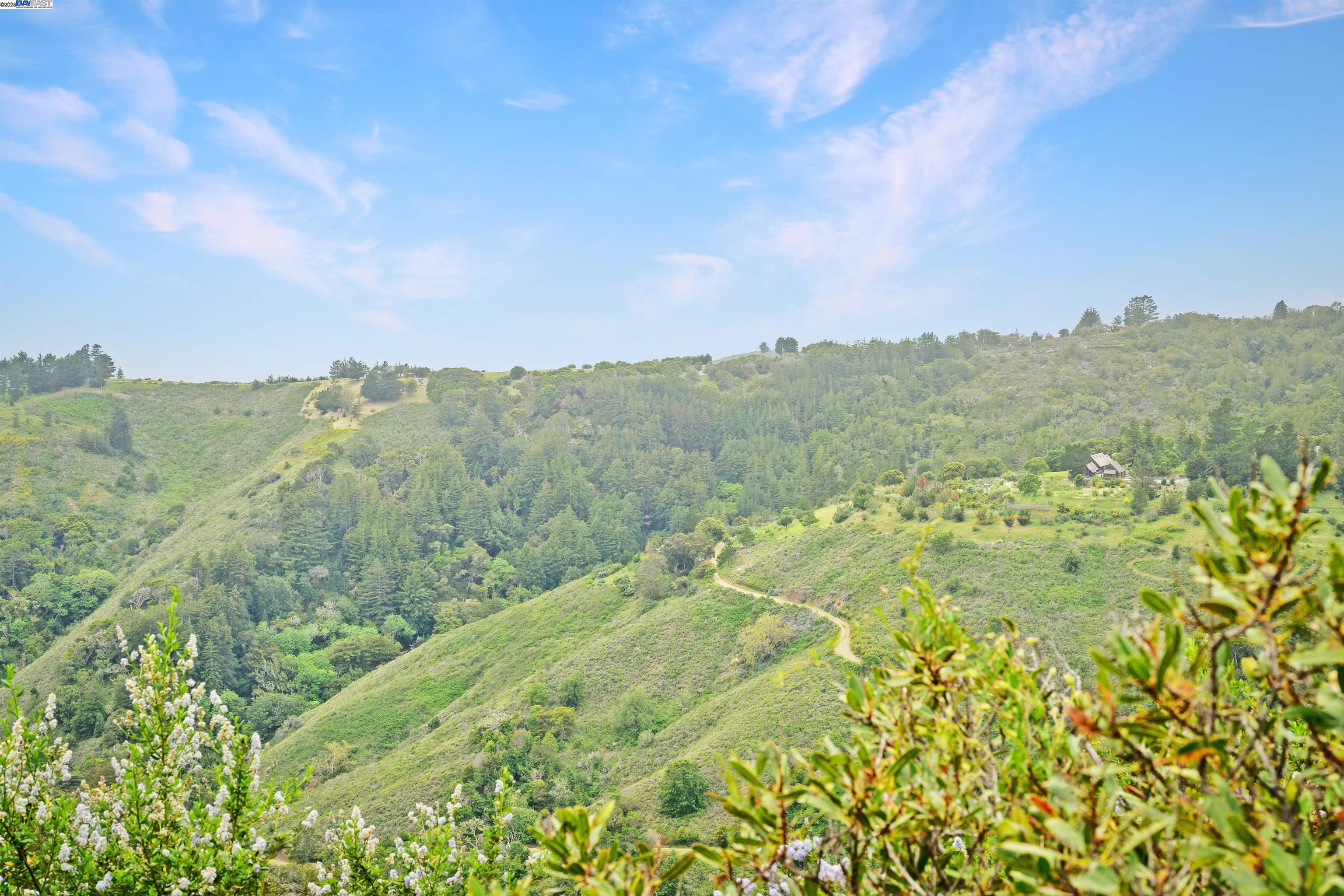 Detail Gallery Image 6 of 15 For 46190 Pfeiffer Ridge Rd, Big Sur,  CA 93920 - – Beds | – Baths