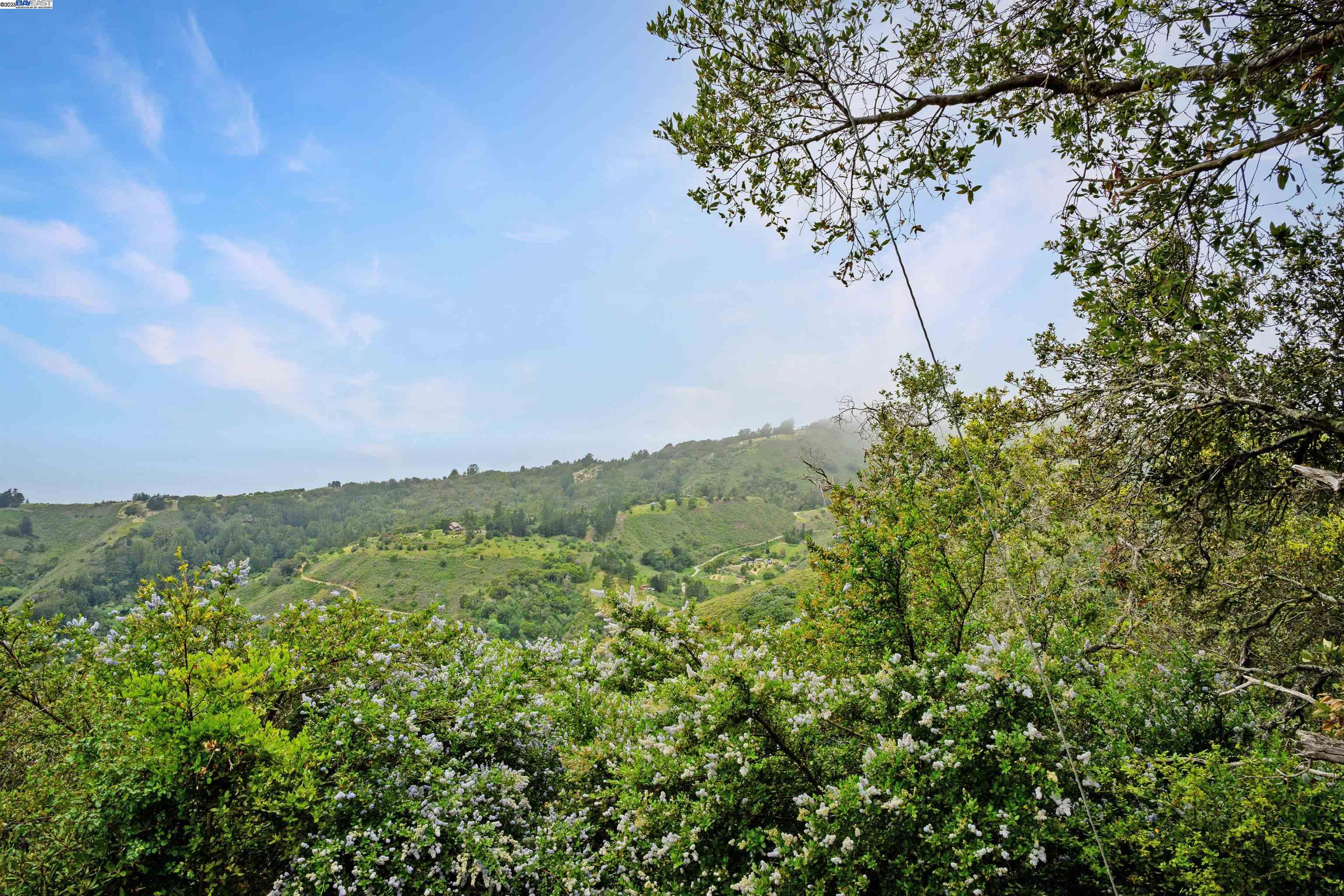 Detail Gallery Image 9 of 15 For 46190 Pfeiffer Ridge Rd, Big Sur,  CA 93920 - – Beds | – Baths