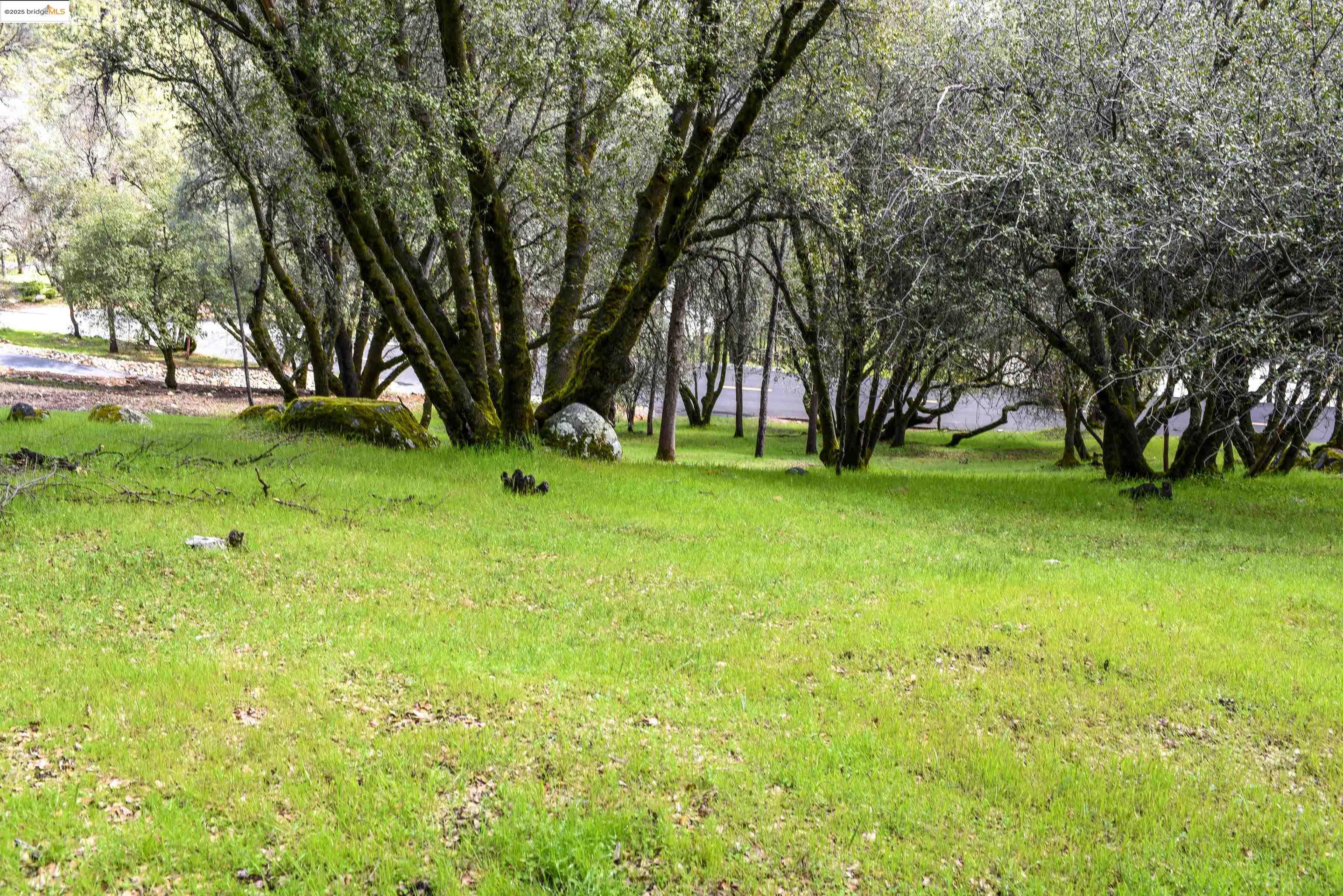 Detail Gallery Image 13 of 15 For 19077 Apple Valley Dr., Sonora,  CA 95370 - – Beds | – Baths