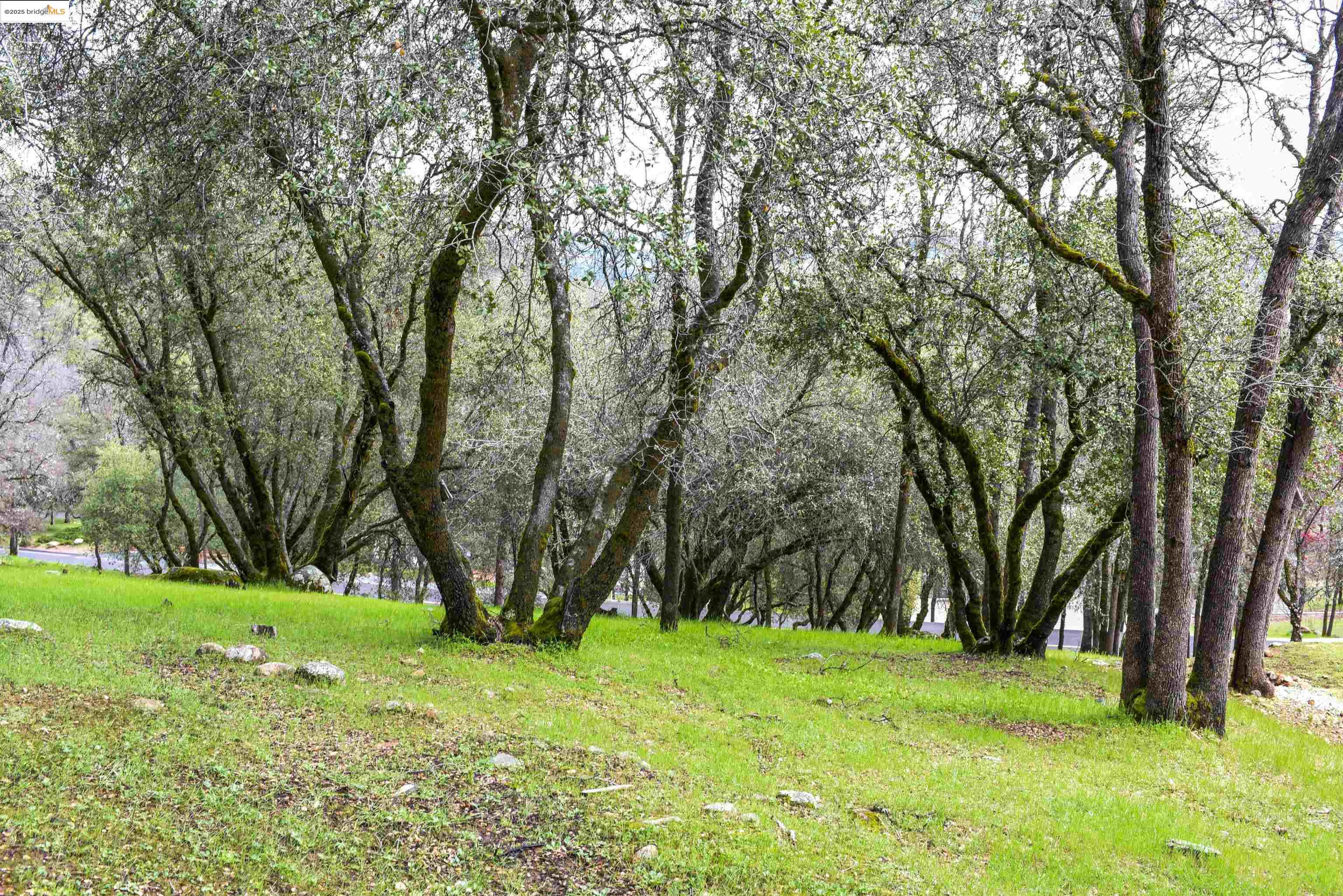 Detail Gallery Image 4 of 15 For 19077 Apple Valley Dr., Sonora,  CA 95370 - – Beds | – Baths