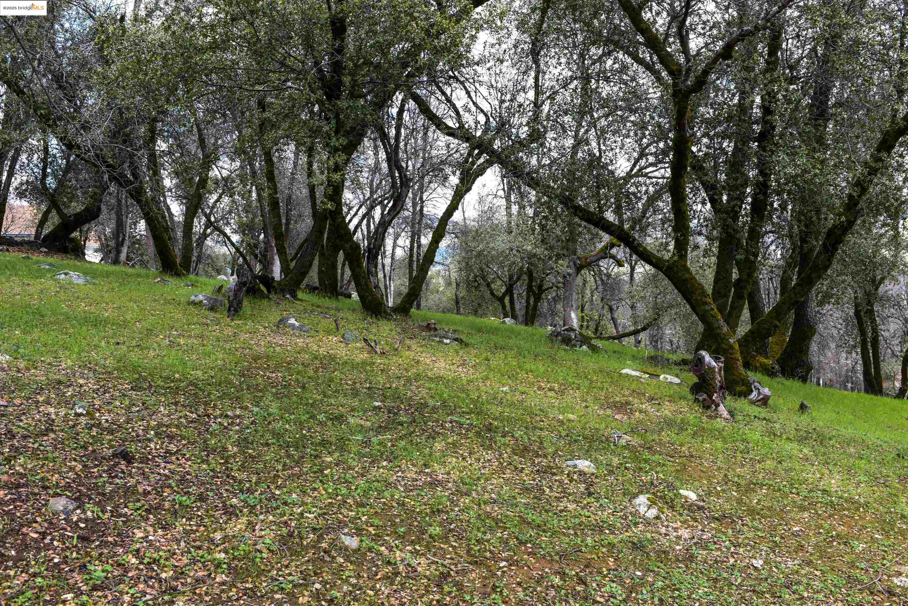 Detail Gallery Image 5 of 15 For 19077 Apple Valley Dr., Sonora,  CA 95370 - – Beds | – Baths