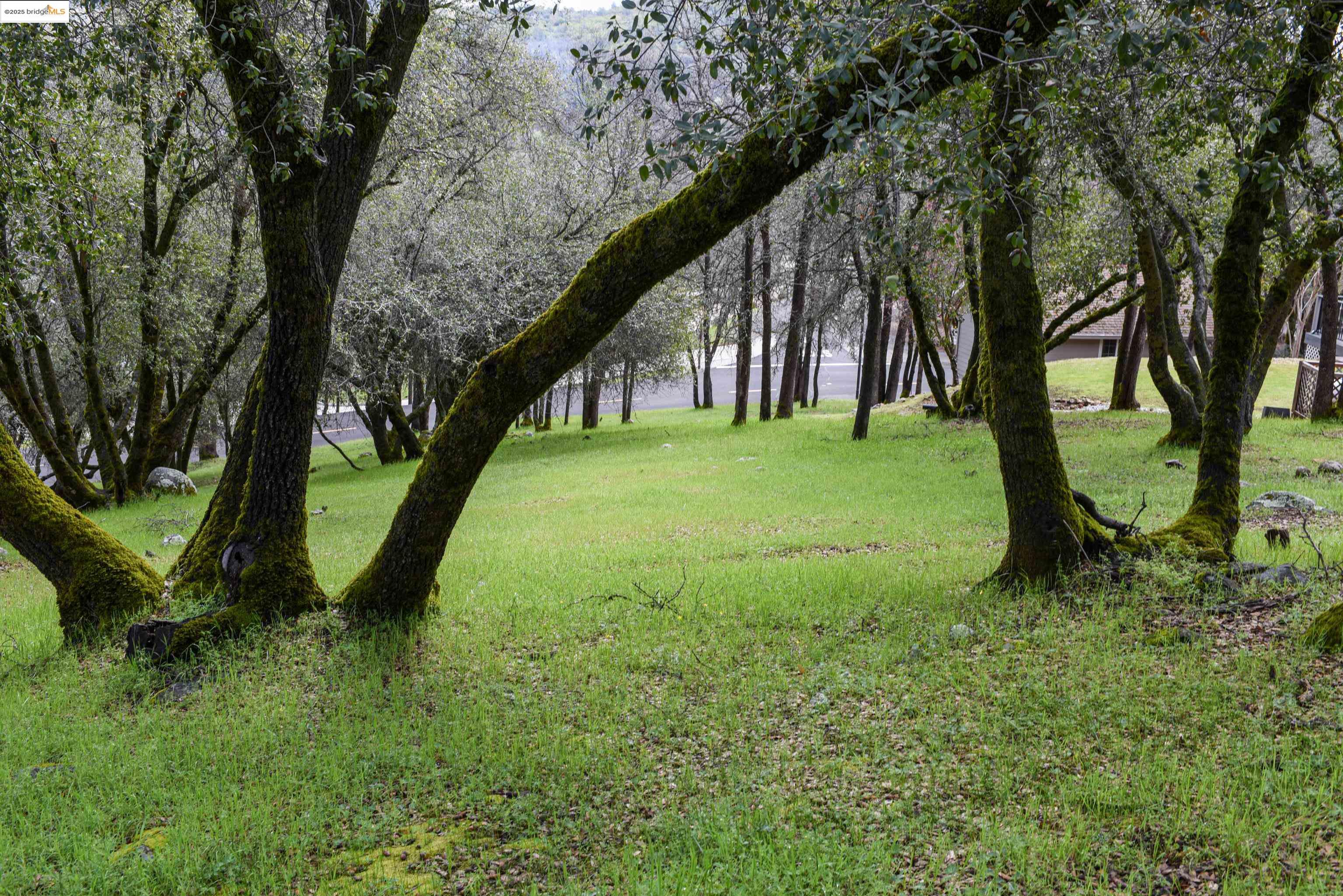 Detail Gallery Image 7 of 15 For 19077 Apple Valley Dr., Sonora,  CA 95370 - – Beds | – Baths