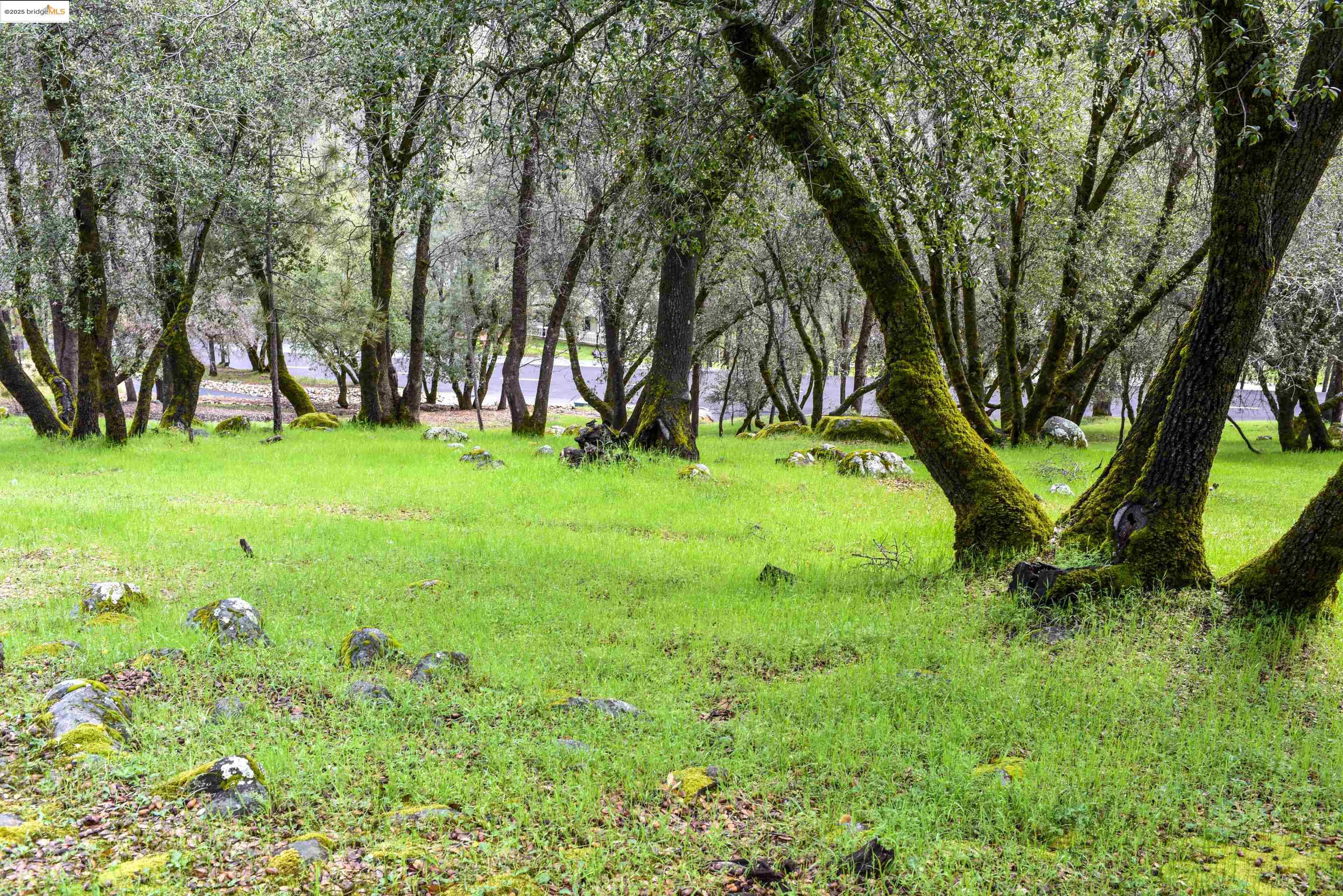 Detail Gallery Image 8 of 15 For 19077 Apple Valley Dr., Sonora,  CA 95370 - – Beds | – Baths