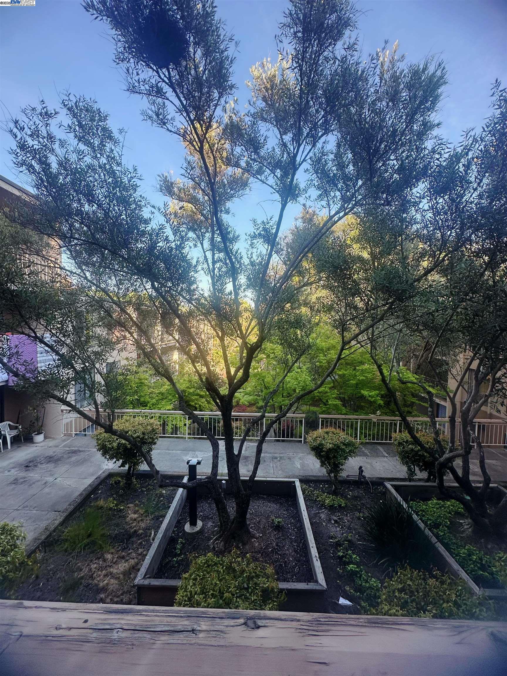 Detail Gallery Image 11 of 18 For 450 N Civic Dr #311,  Walnut Creek,  CA 94596 - 2 Beds | 2 Baths