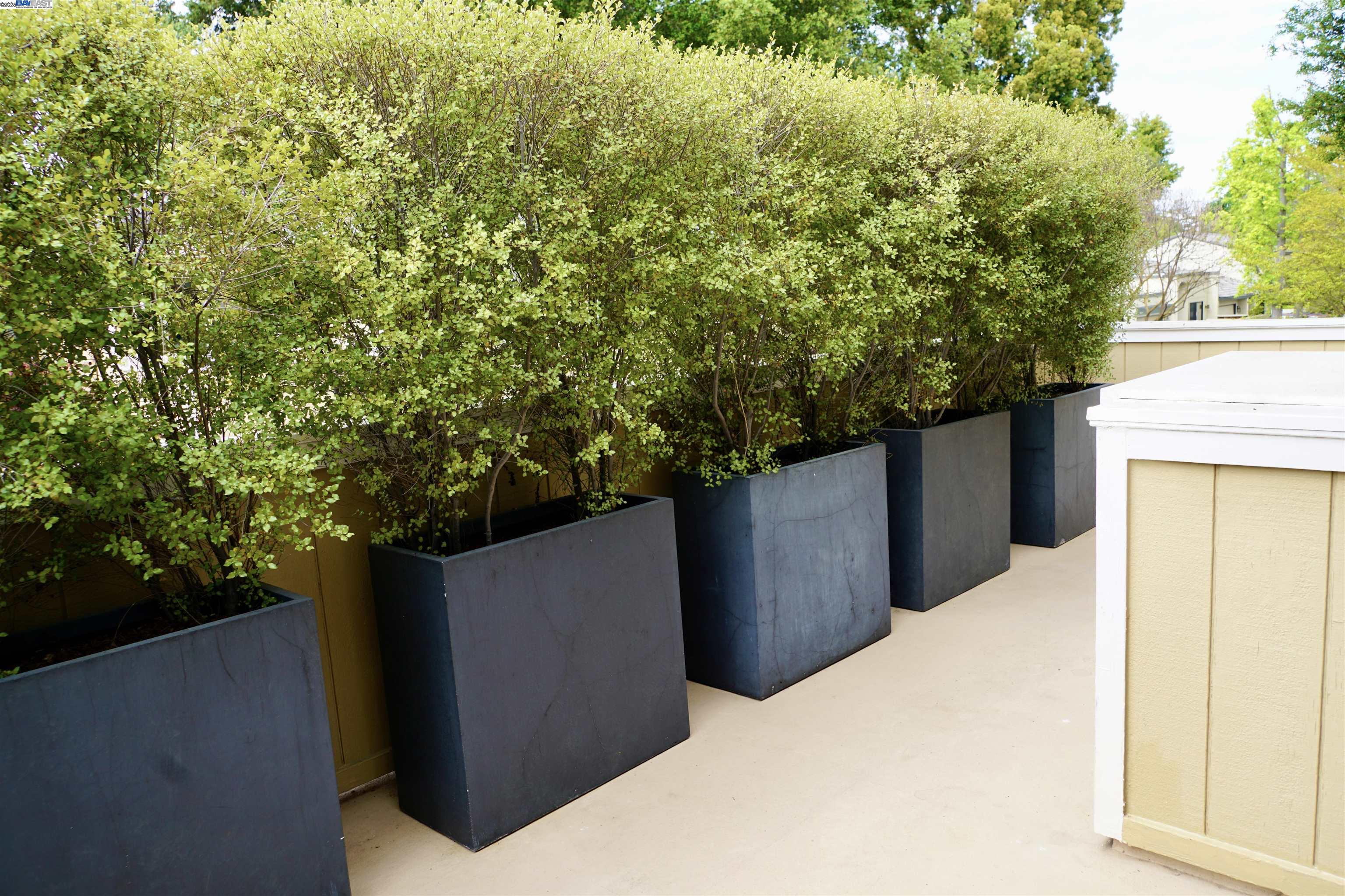 Detail Gallery Image 33 of 34 For 580 Vista Ave, Palo Alto,  CA 94306 - 2 Beds | 1 Baths