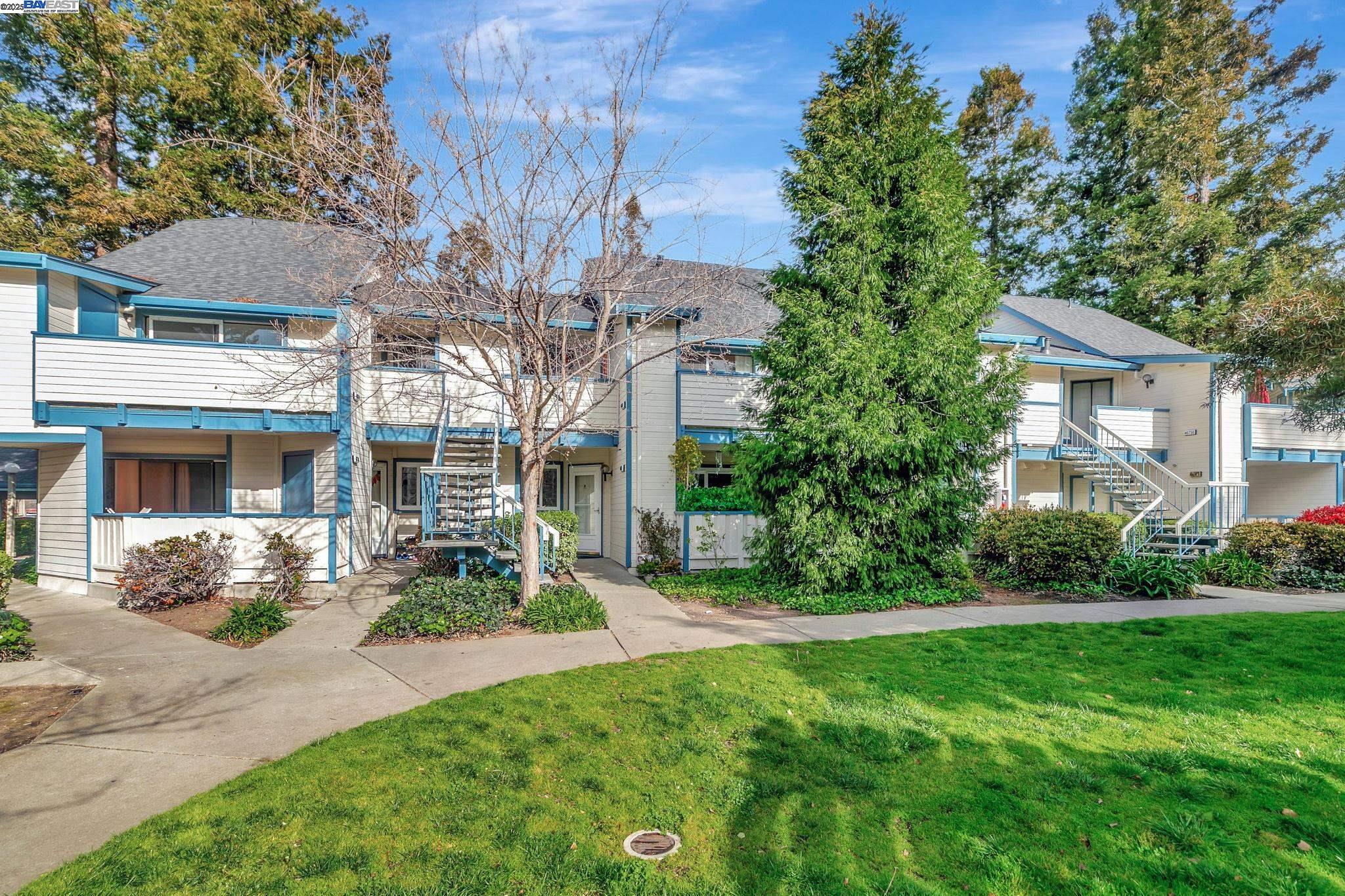 Photo #4: 41092296 Listing: Photo #4