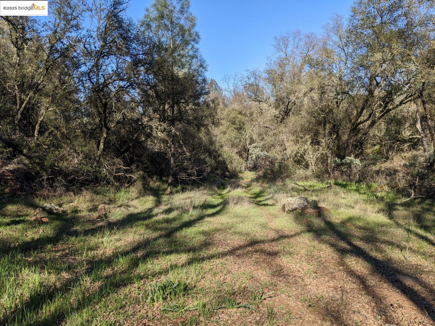 Detail Gallery Image 17 of 31 For 4095 Green Valley Rd, Rescue,  CA 95672 - – Beds | – Baths