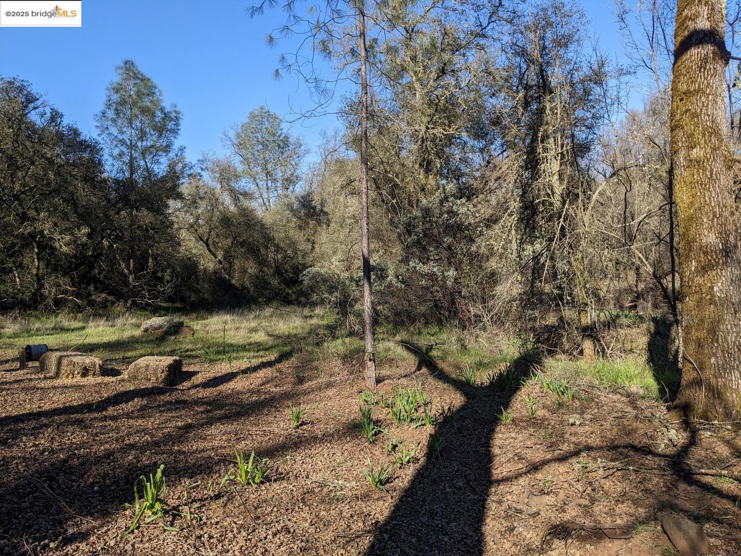 Detail Gallery Image 18 of 31 For 4095 Green Valley Rd, Rescue,  CA 95672 - – Beds | – Baths