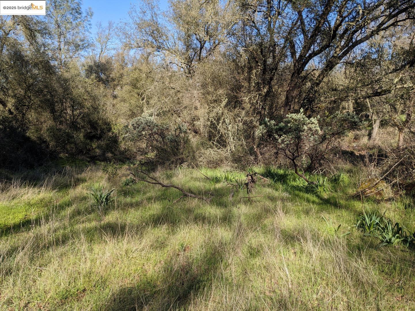 Detail Gallery Image 19 of 31 For 4095 Green Valley Rd, Rescue,  CA 95672 - – Beds | – Baths