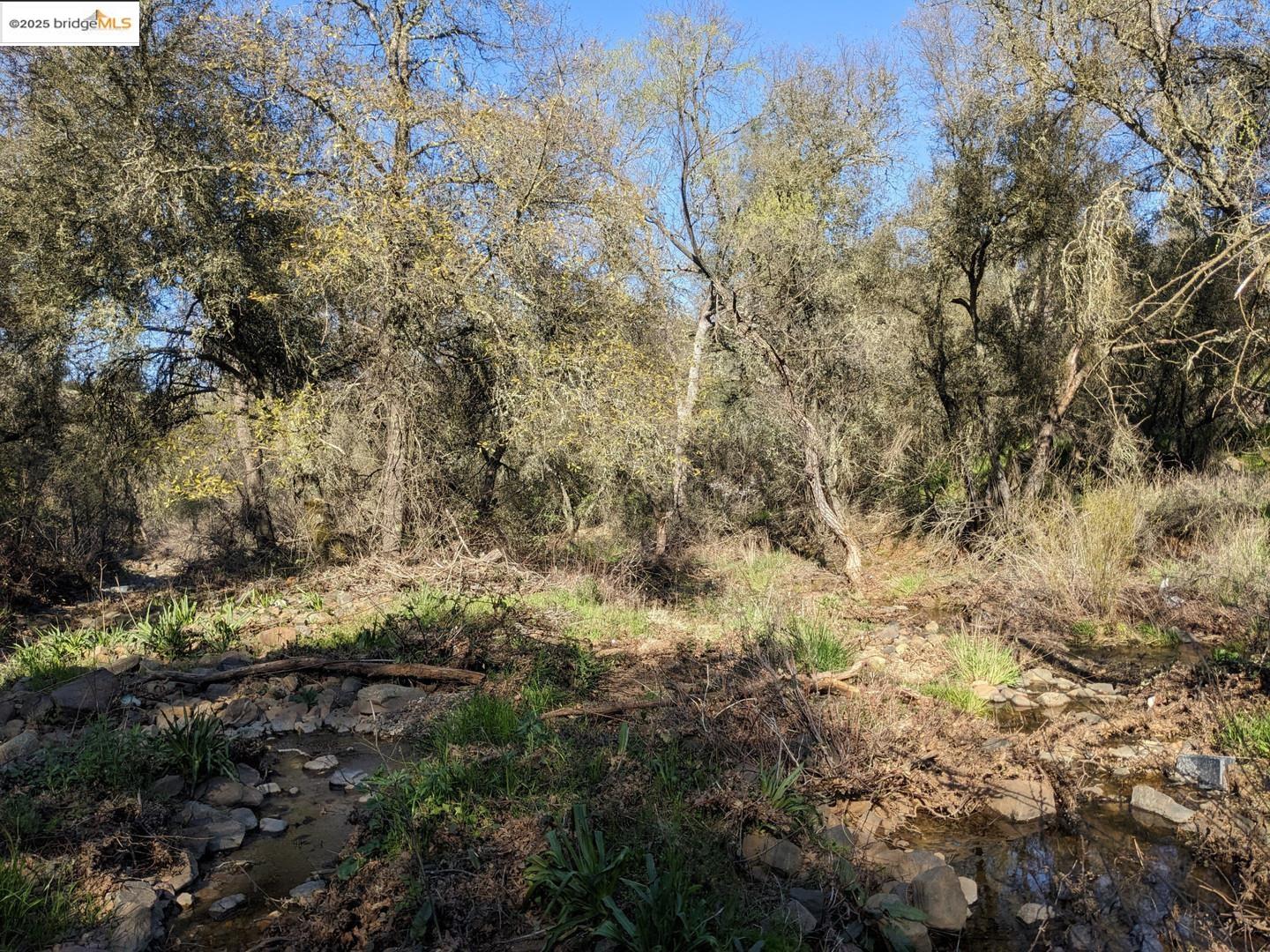 Detail Gallery Image 21 of 31 For 4095 Green Valley Rd, Rescue,  CA 95672 - – Beds | – Baths