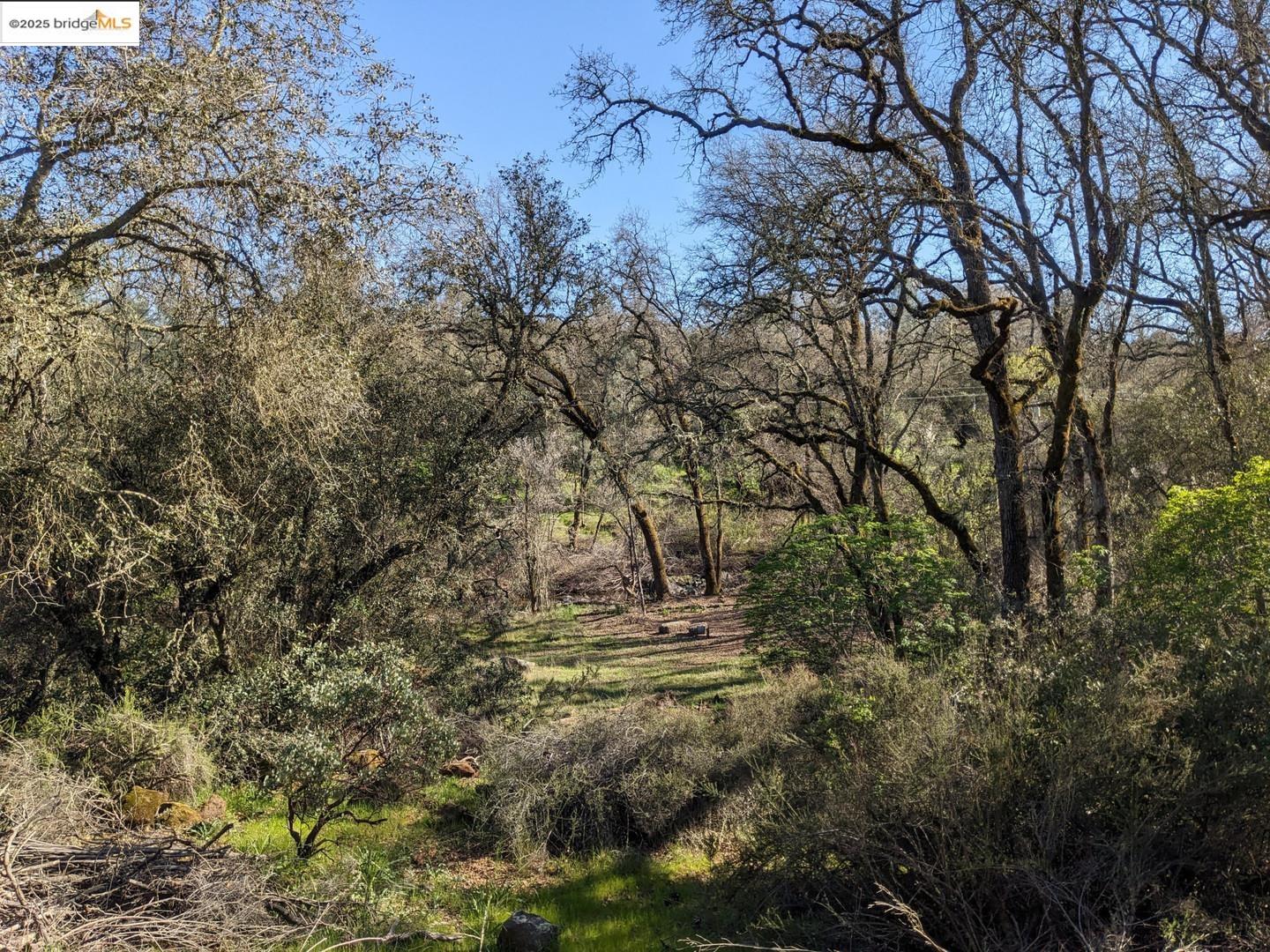Detail Gallery Image 23 of 31 For 4095 Green Valley Rd, Rescue,  CA 95672 - – Beds | – Baths