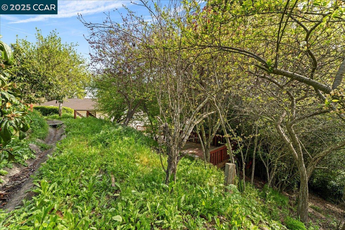 Detail Gallery Image 45 of 45 For 2266 Bristlecone Dr, Richmond,  CA 94803 - 3 Beds | 2 Baths