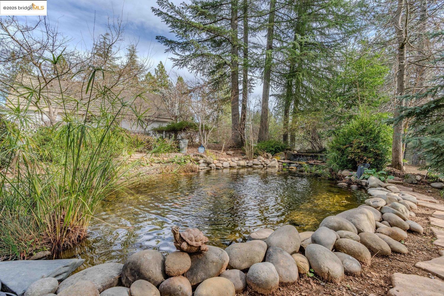 Detail Gallery Image 12 of 60 For 4048 Independence Road 1, Mokelumne Hill,  CA 95245-9763 - 5 Beds | 4 Baths
