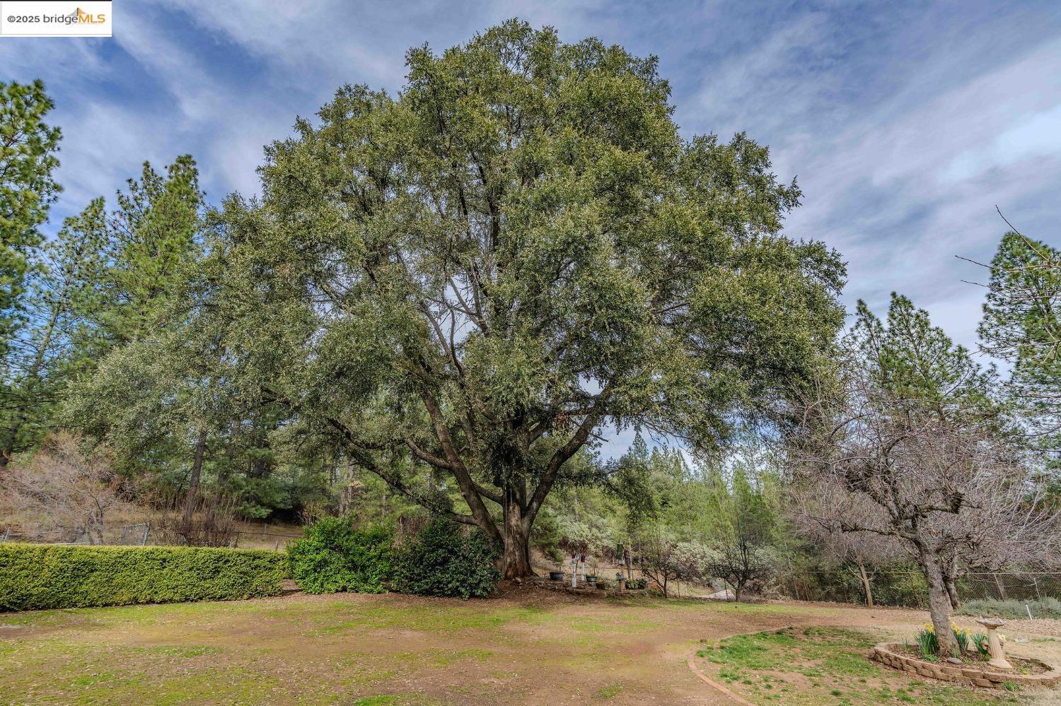 Detail Gallery Image 8 of 60 For 4048 Independence Road 1, Mokelumne Hill,  CA 95245-9763 - 5 Beds | 4 Baths