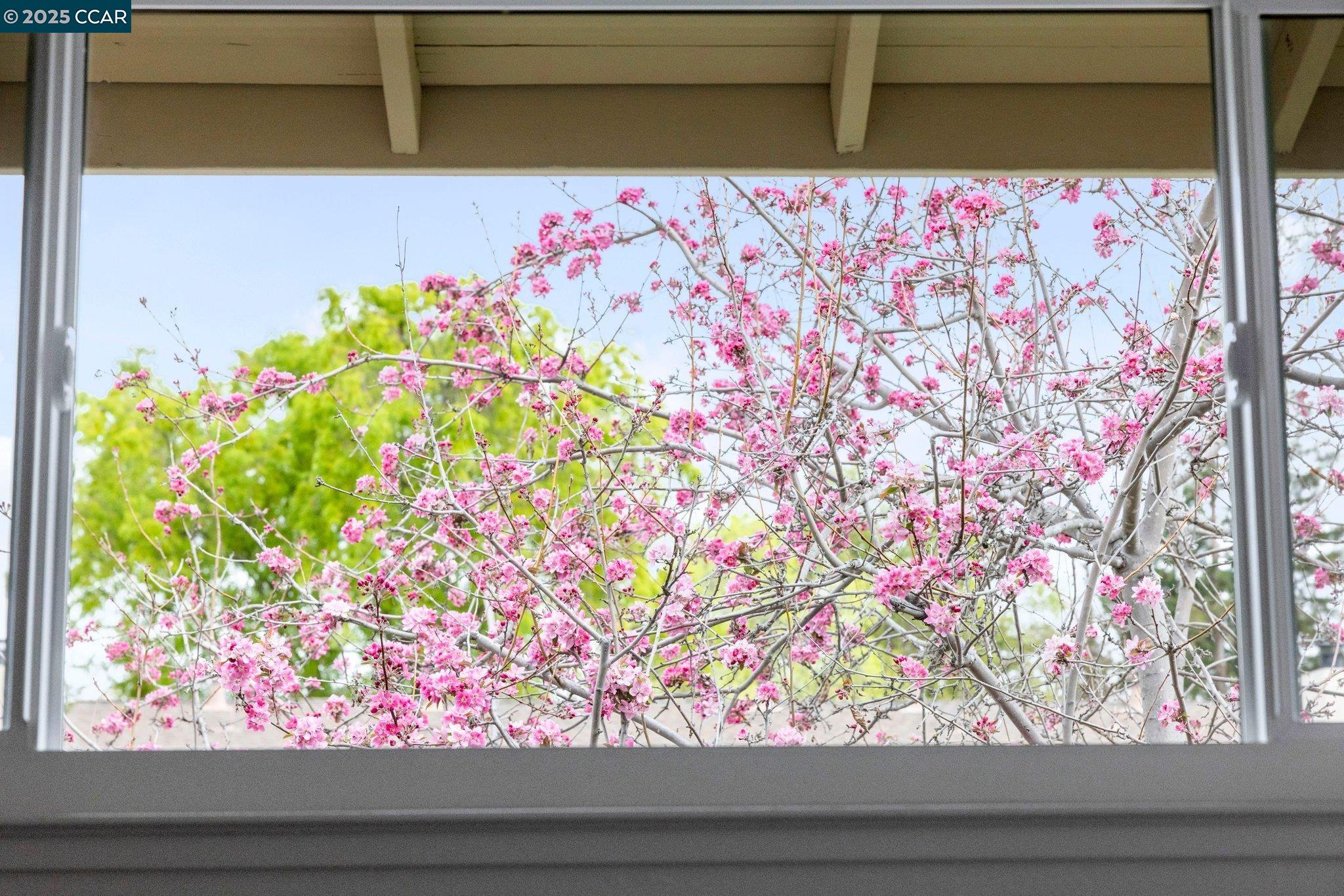 Detail Gallery Image 17 of 34 For 685 Picasso Ter, Sunnyvale,  CA 94087 - 2 Beds | 1/1 Baths