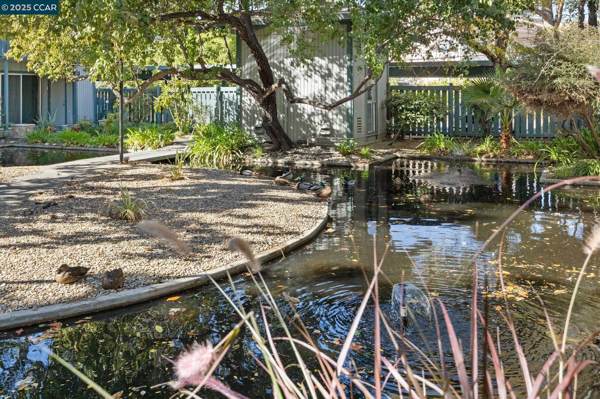 Detail Gallery Image 49 of 54 For 1036 Oak Grove Rd #24,  Concord,  CA 94518 - 1 Beds | 1 Baths