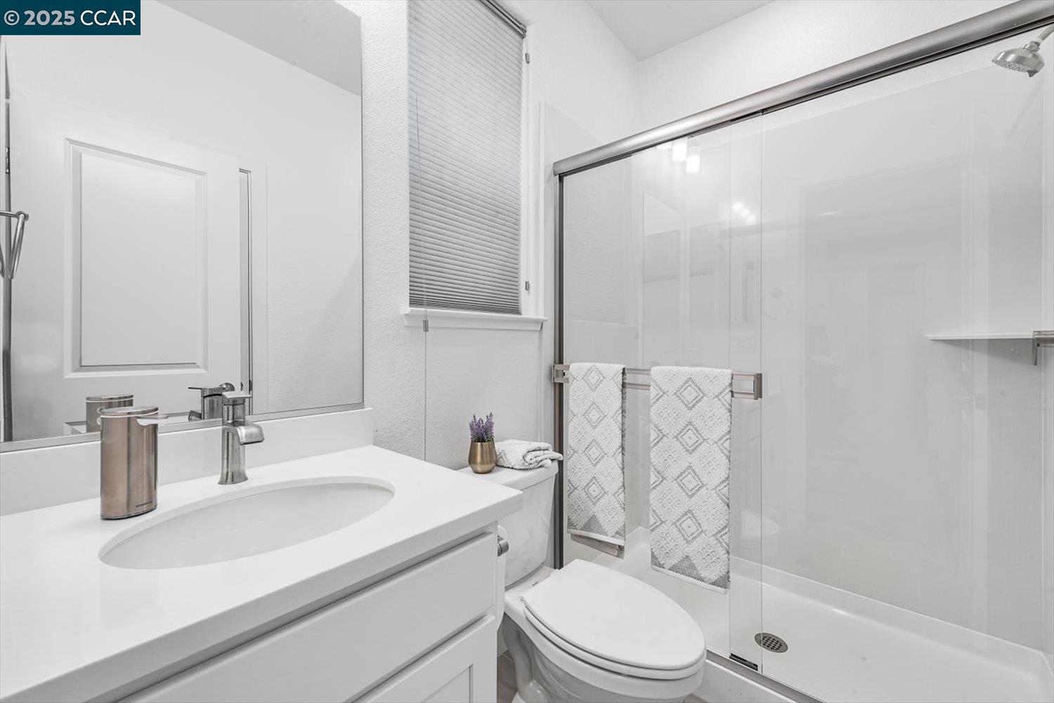 Detail Gallery Image 25 of 60 For 205 Goose Creek Ave, Brentwood,  CA 94513 - 4 Beds | 3/1 Baths