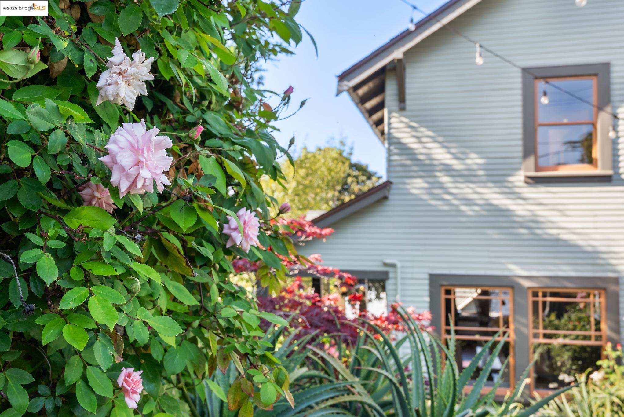 Detail Gallery Image 56 of 60 For 525 Jackson St, Crockett,  CA 94525 - 4 Beds | 1/1 Baths
