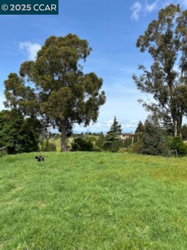 Detail Gallery Image 1 of 2 For 209 N Rancho Pl, Pinole,  CA 94803 - – Beds | – Baths