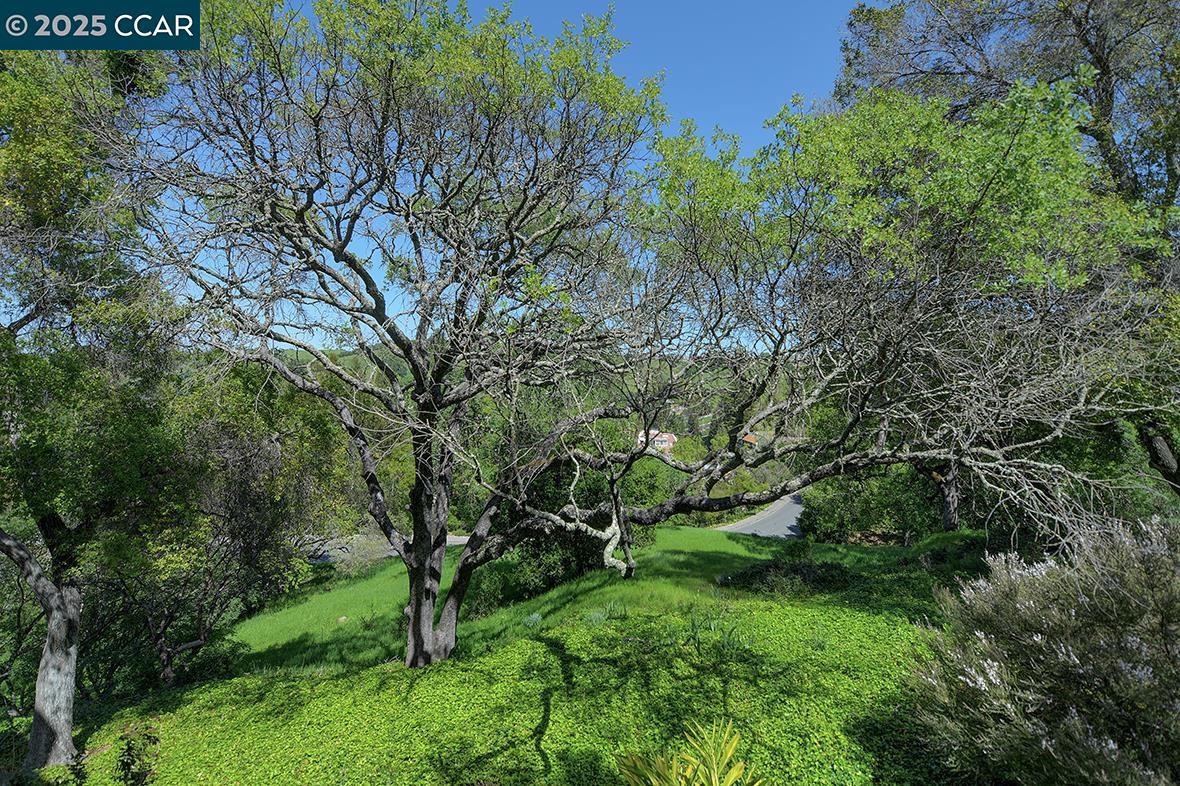 Detail Gallery Image 9 of 55 For 3711 Terra Granada Dr 4b,  Walnut Creek,  CA 94595 - 2 Beds | 2 Baths
