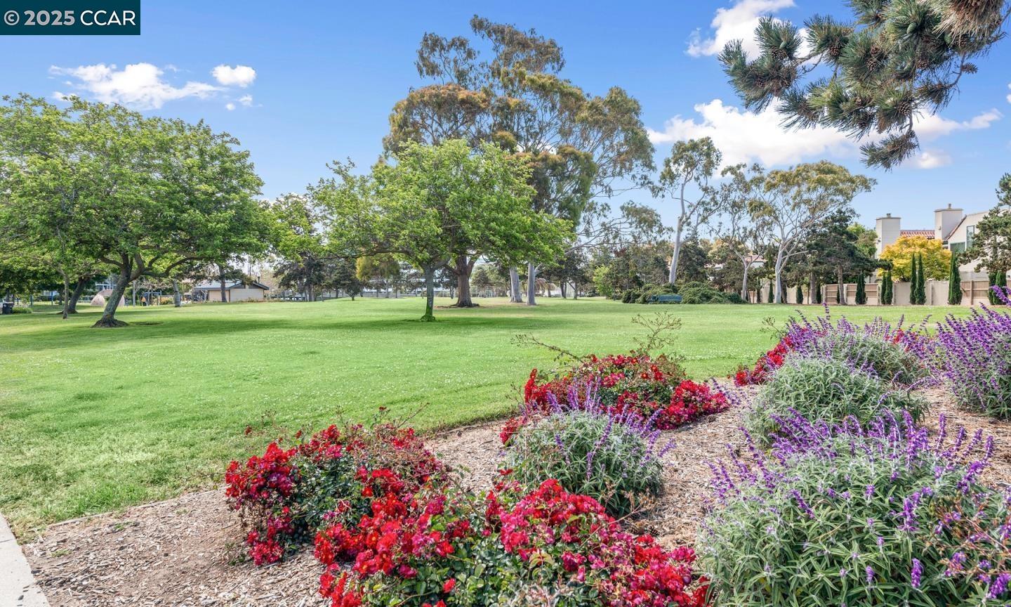 Detail Gallery Image 26 of 27 For 978 Shoal Dr, San Mateo,  CA 94404 - 3 Beds | 2/1 Baths