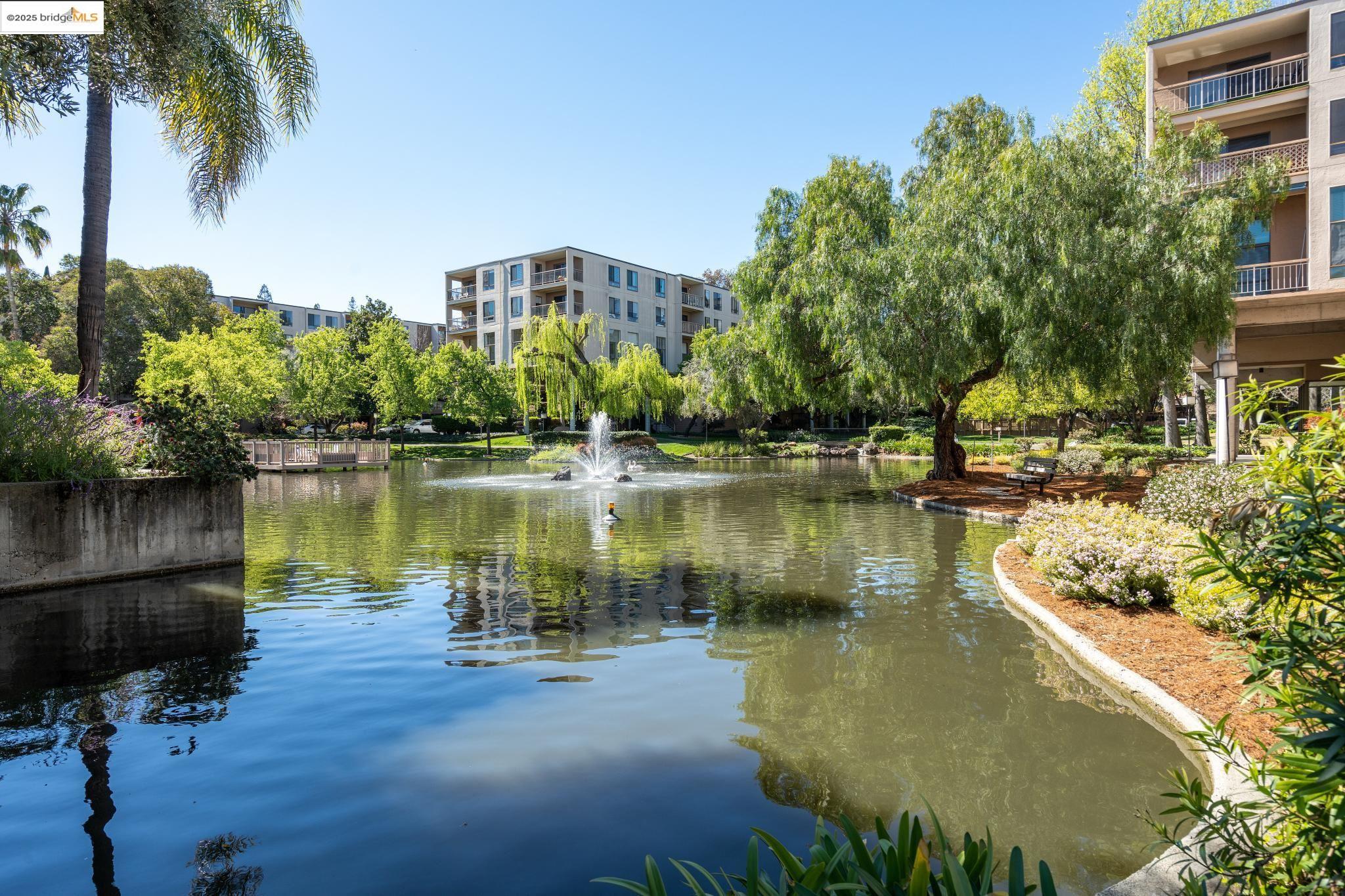Detail Gallery Image 44 of 51 For 490 N. Civic Dr #505,  Walnut Creek,  CA 94596 - 1 Beds | 1 Baths