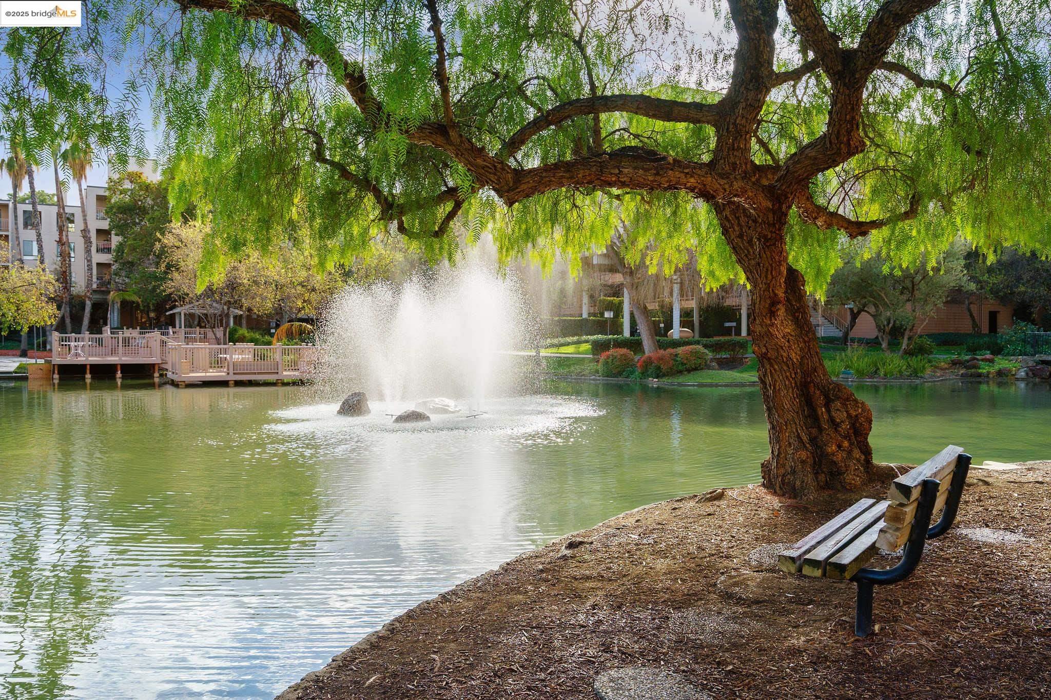 Detail Gallery Image 46 of 51 For 490 N. Civic Dr #505,  Walnut Creek,  CA 94596 - 1 Beds | 1 Baths