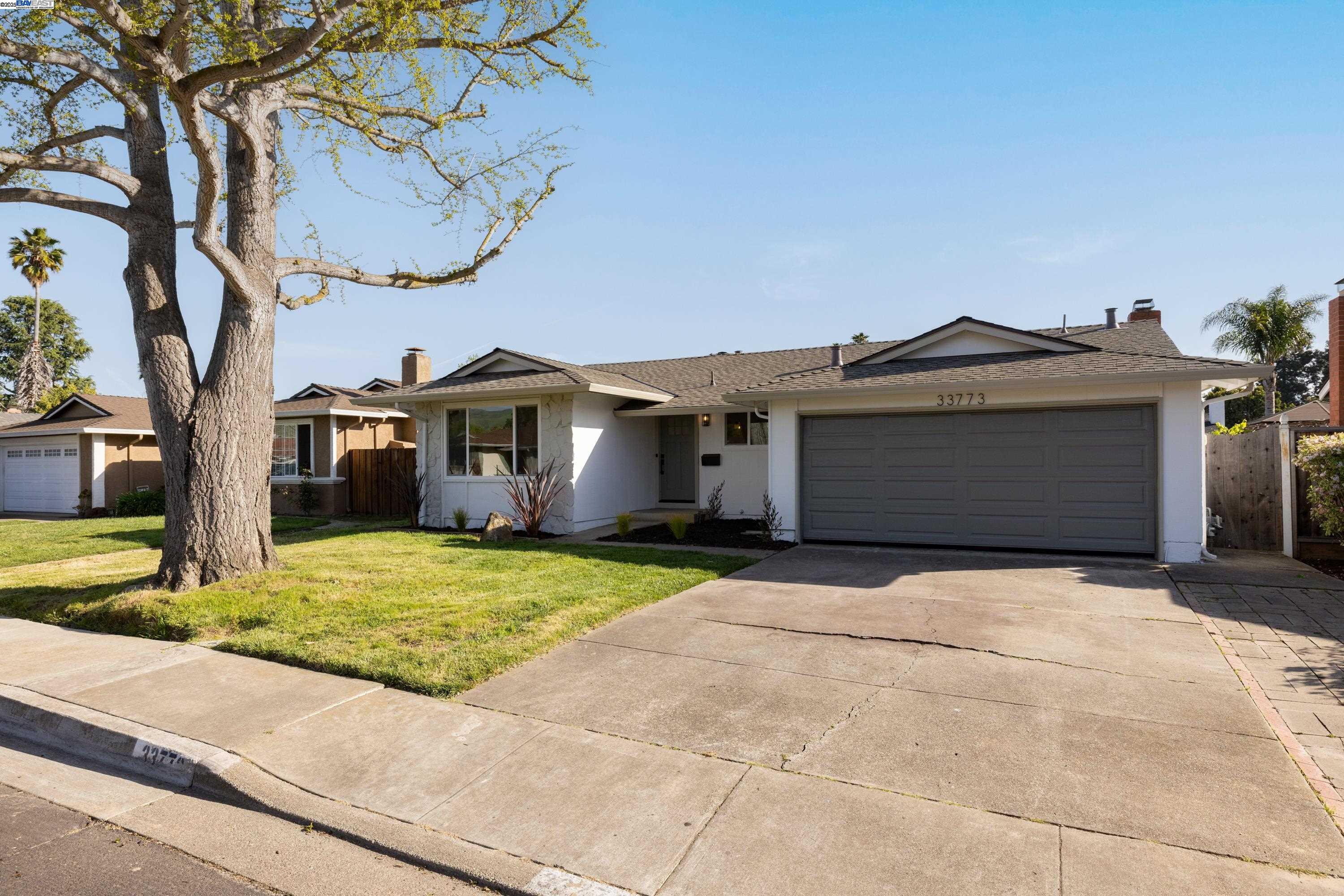 Detail Gallery Image 1 of 1 For 33773 Syracuse Ave, Union City,  CA 94587 - 4 Beds | 2 Baths