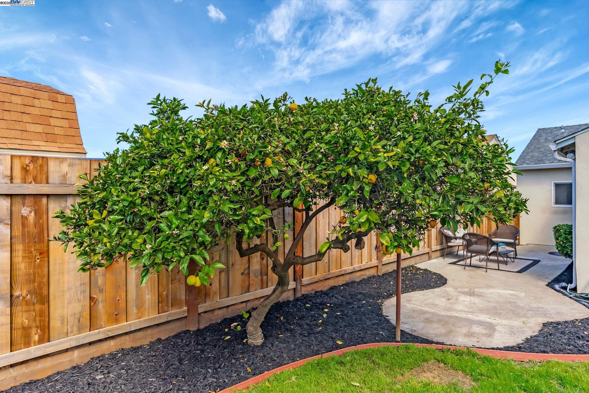 property-img