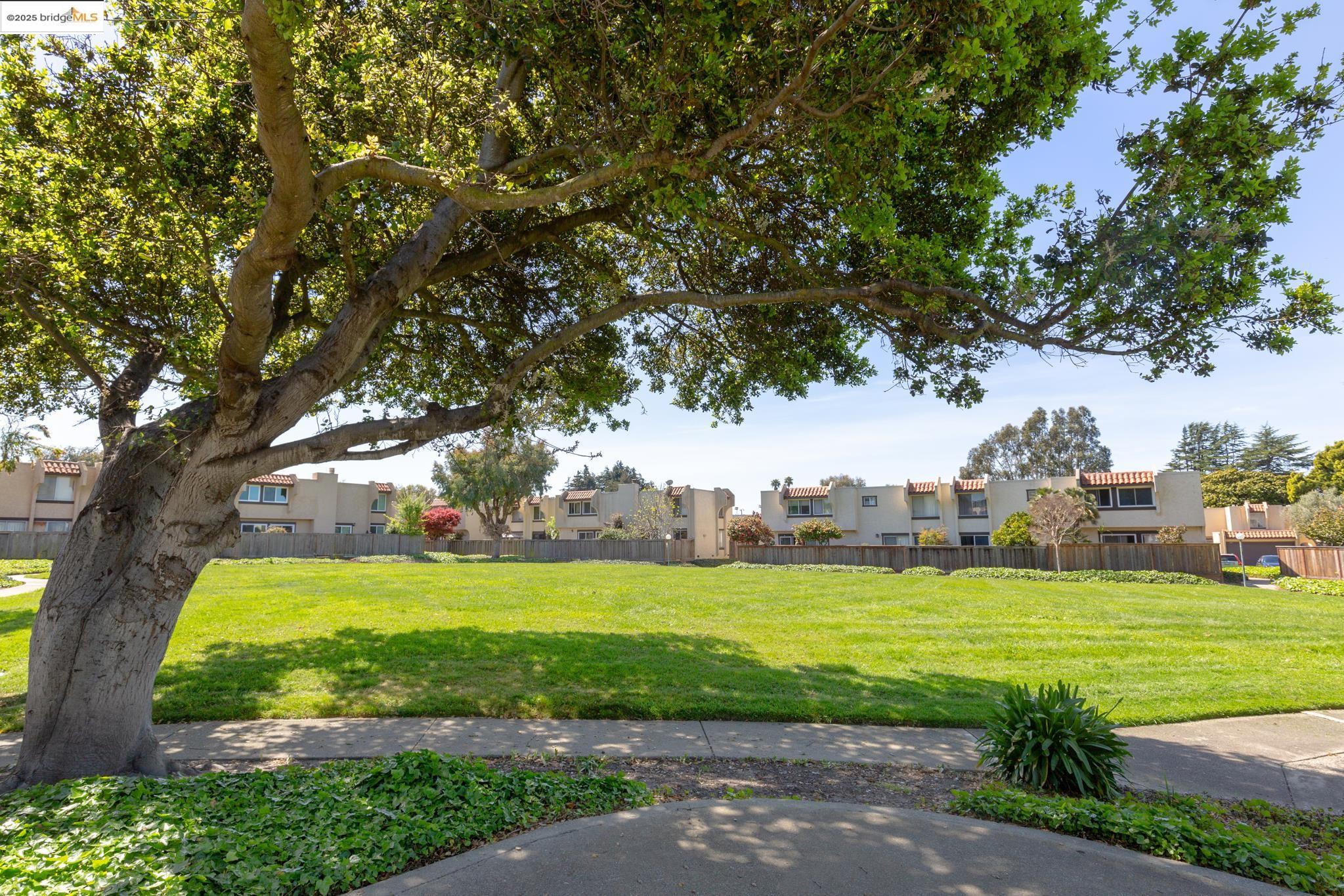 Photo #32: 41093039 Listing: Photo #32