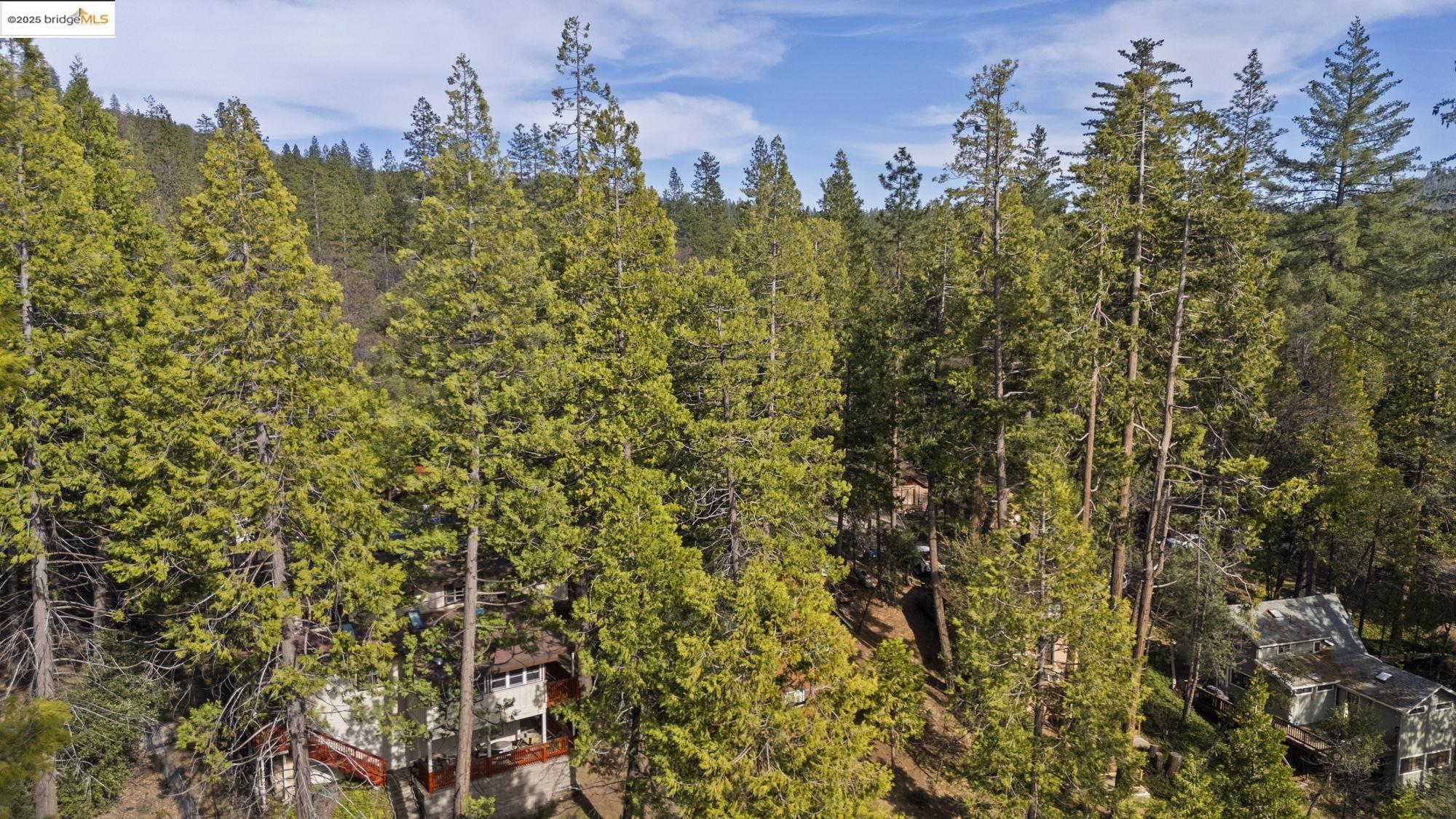 Detail Gallery Image 36 of 47 For 23192 Cresta Dr, Twain Harte,  CA 95383 - 3 Beds | 2 Baths