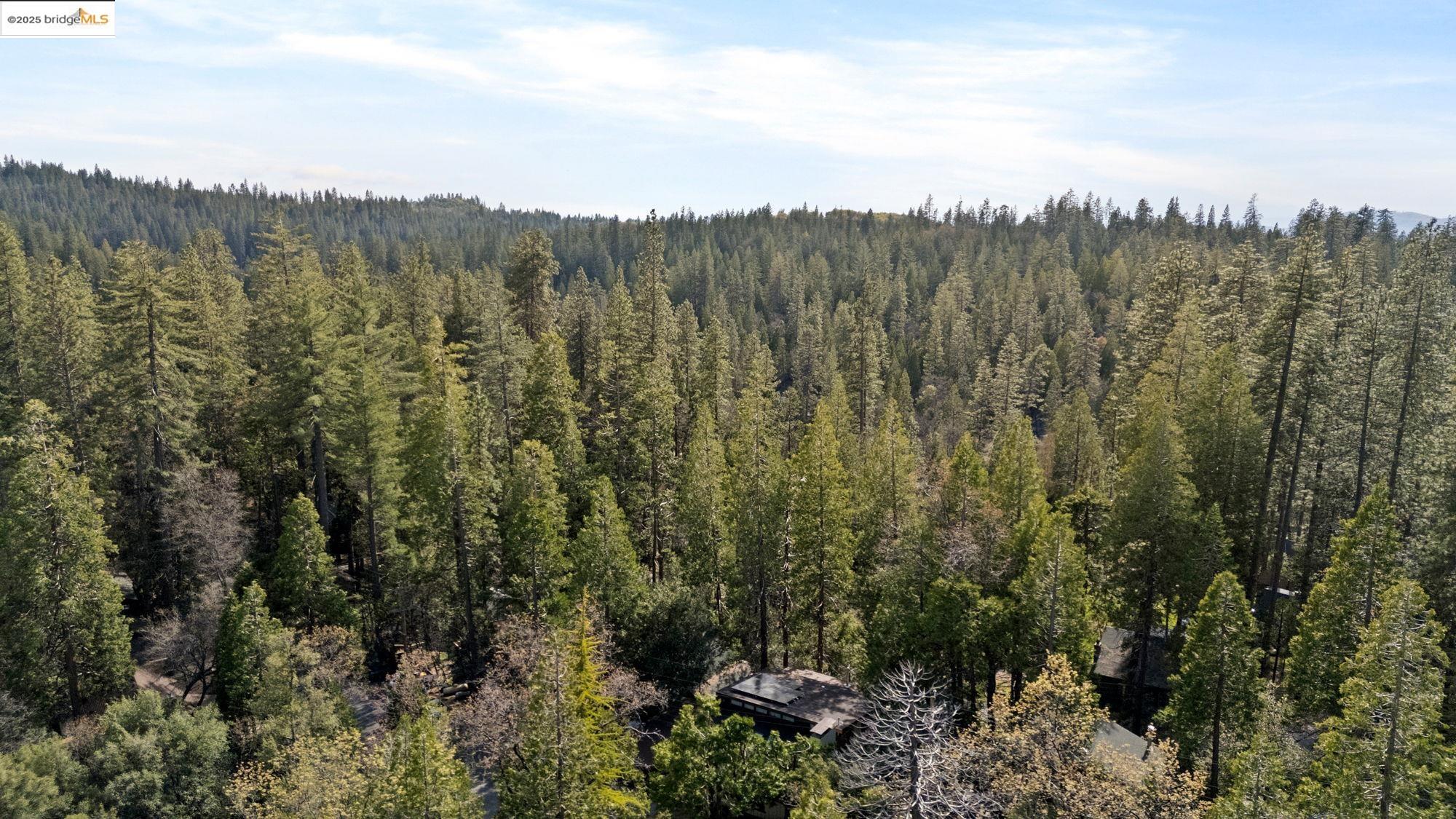 Detail Gallery Image 37 of 47 For 23192 Cresta Dr, Twain Harte,  CA 95383 - 3 Beds | 2 Baths